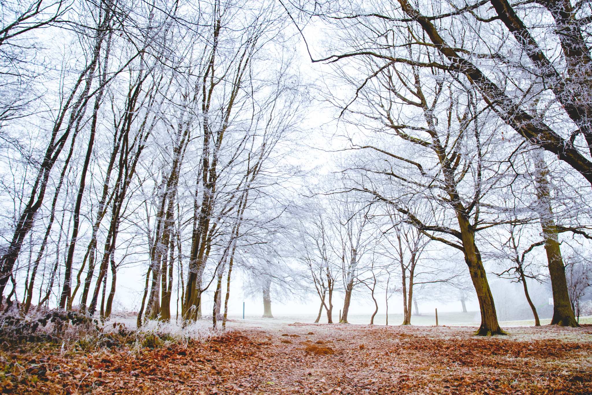 Canon EF 24-105mm F3.5-5.6 IS STM sample photo. Auneau, winter. photography