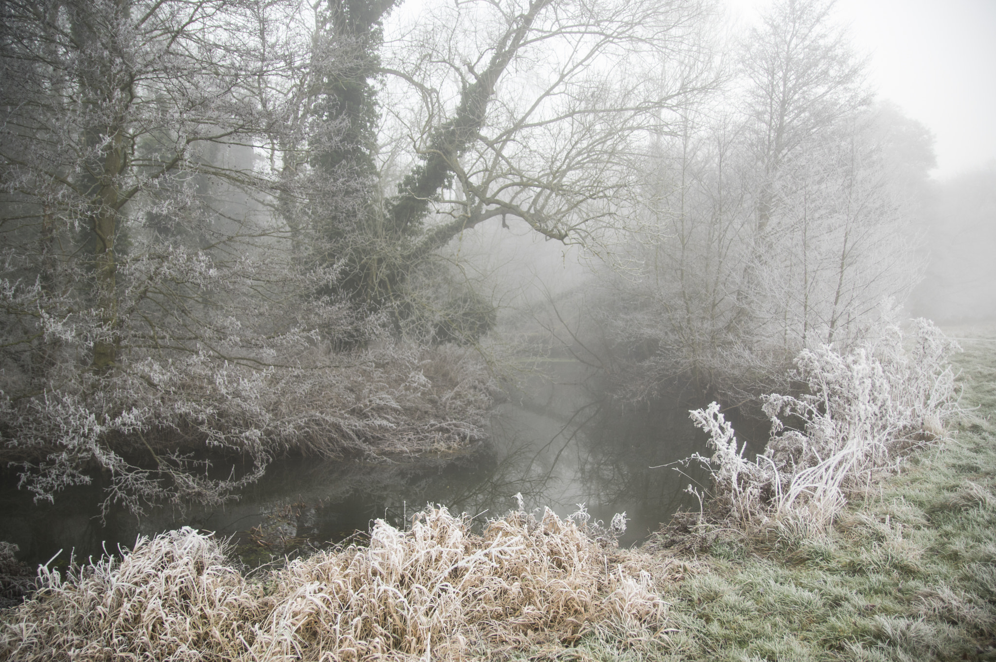 Sigma 17-50mm F2.8 EX DC HSM sample photo. A bend in the river photography