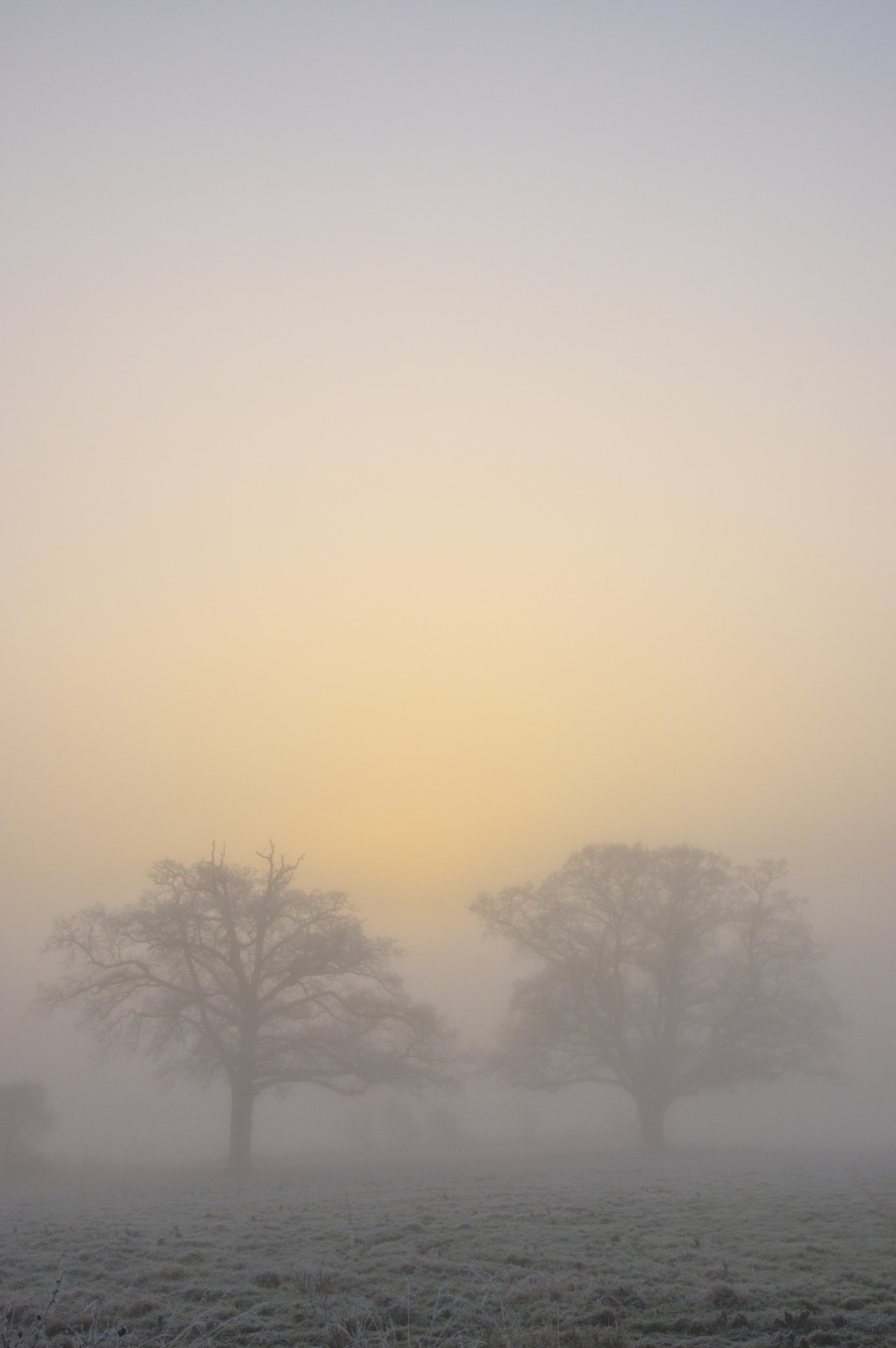 Sigma 17-50mm F2.8 EX DC HSM sample photo. Misty morning photography