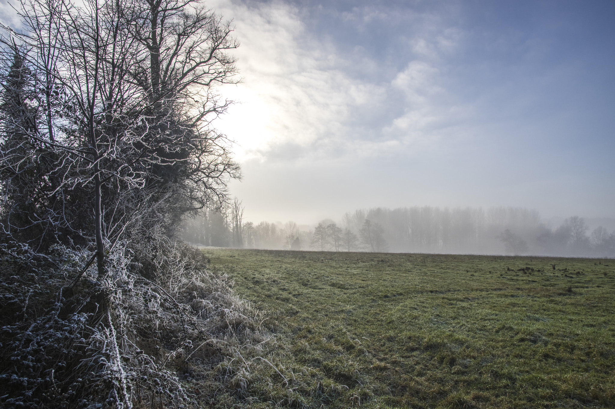 Pentax K-3 II + Sigma 17-50mm F2.8 EX DC HSM sample photo. Frosty morning meadow photography