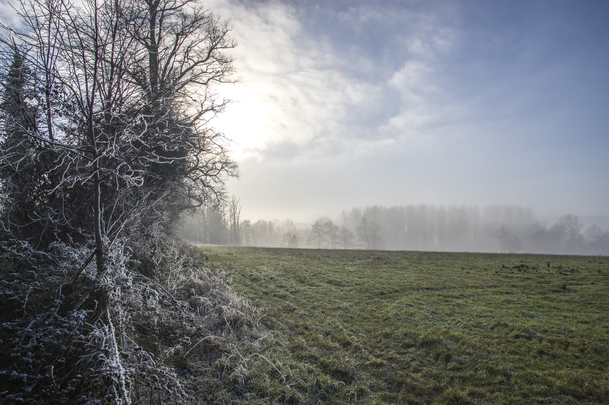 Sigma 17-50mm F2.8 EX DC HSM sample photo. Frosty morning meadow photography