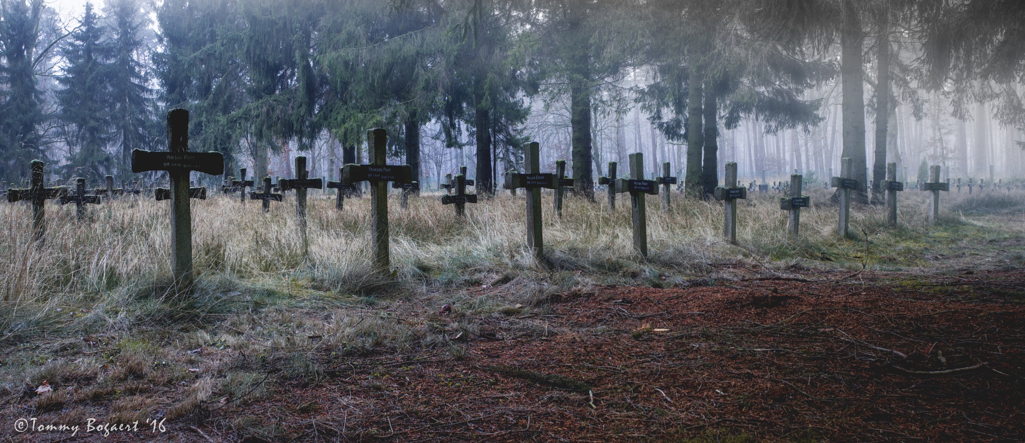 Canon EOS 550D (EOS Rebel T2i / EOS Kiss X4) + Canon EF 28mm F2.8 sample photo. Cemetery of the insane pano photography