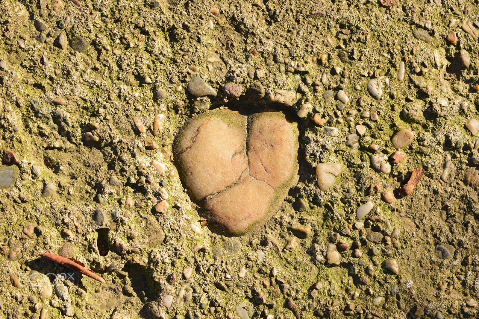 AF Zoom-Nikkor 28-80mm f/3.3-5.6G sample photo. Heart of stone photography
