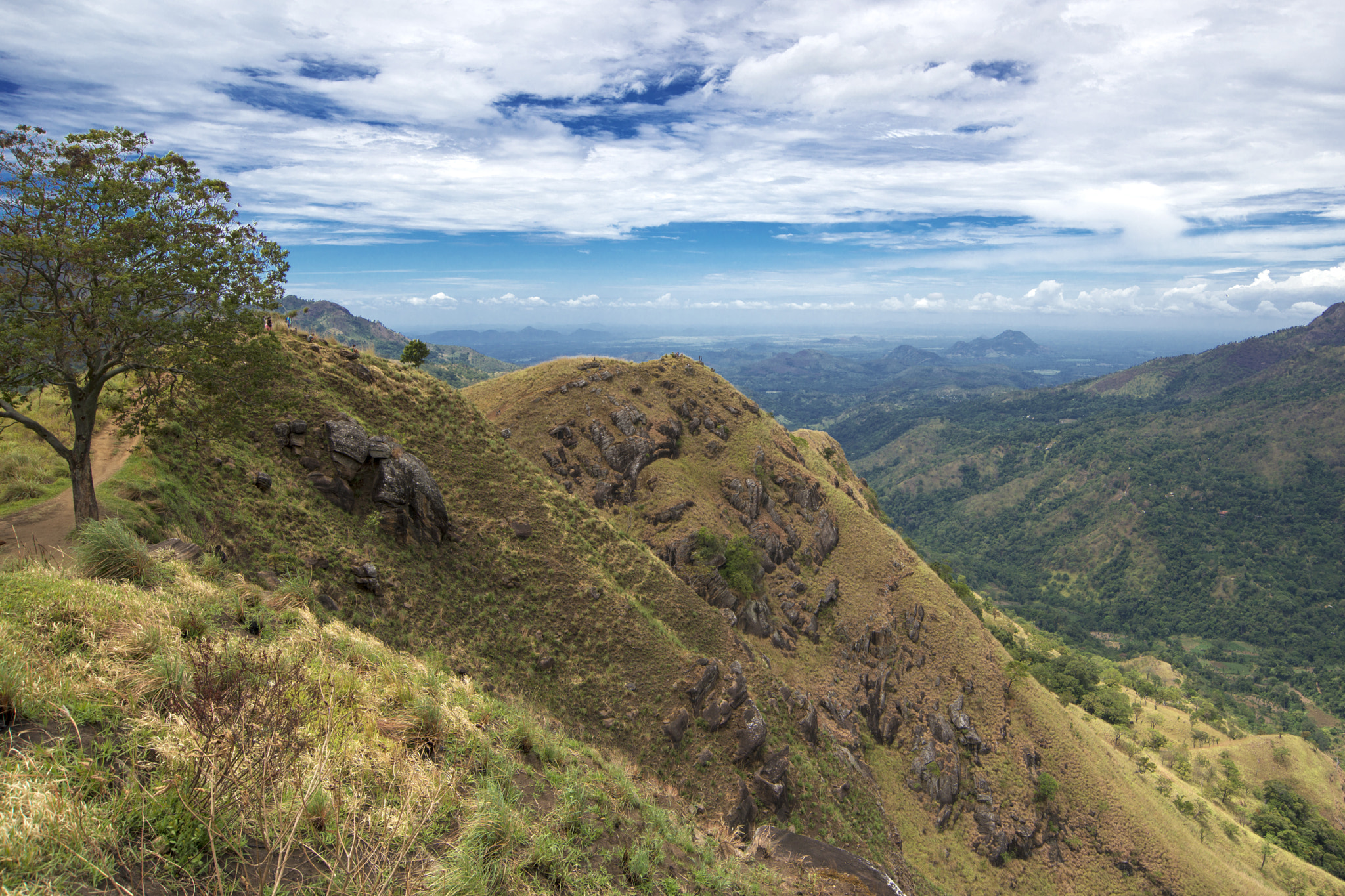 Nikon D800 sample photo. Little adams peak photography