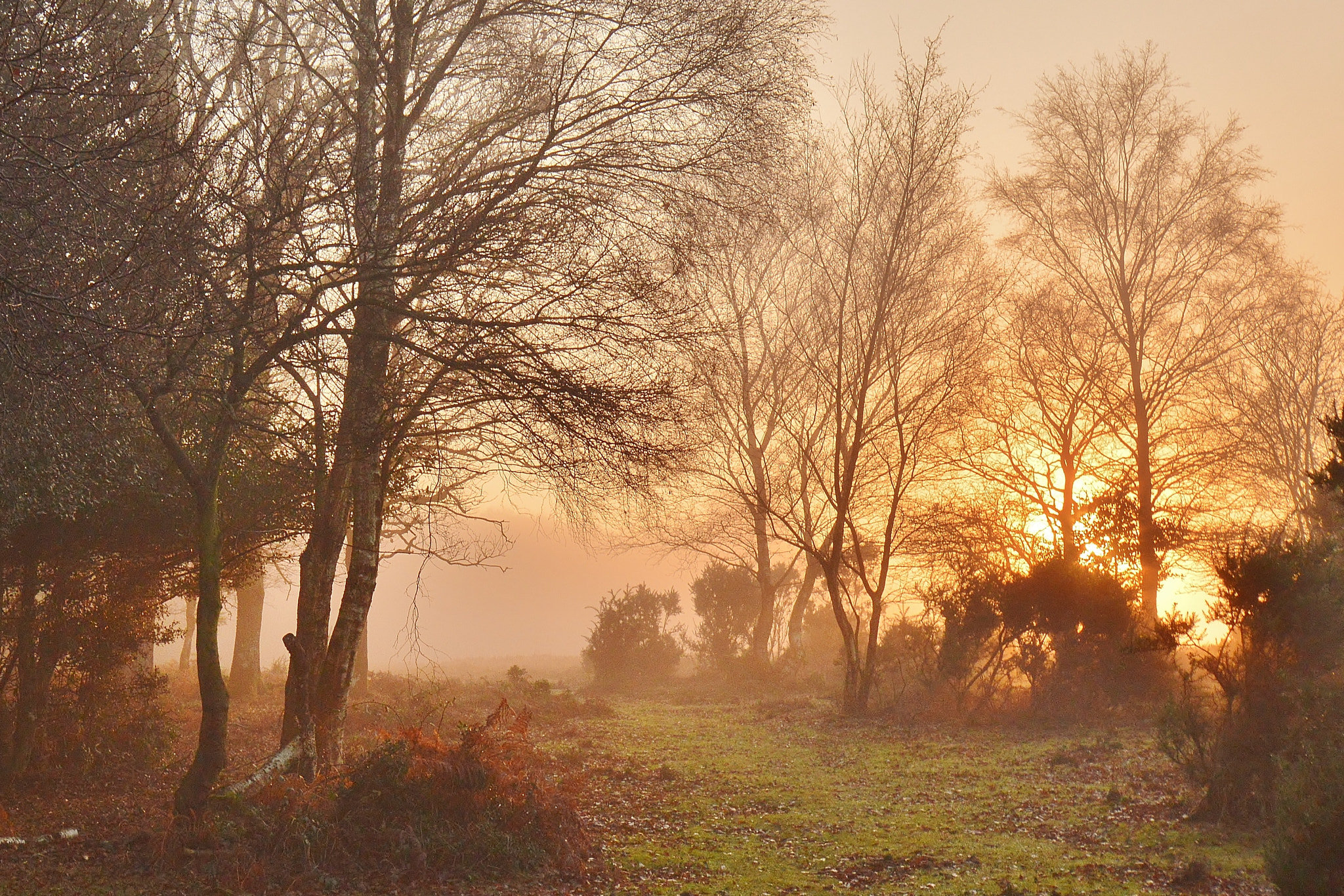 Nikon D3200 sample photo. Misty sundown photography