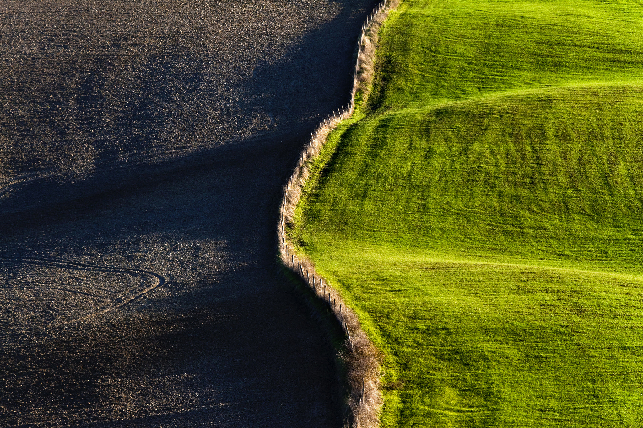 Canon EOS 50D + Canon EF 70-200mm F4L IS USM sample photo. Terre senesi photography