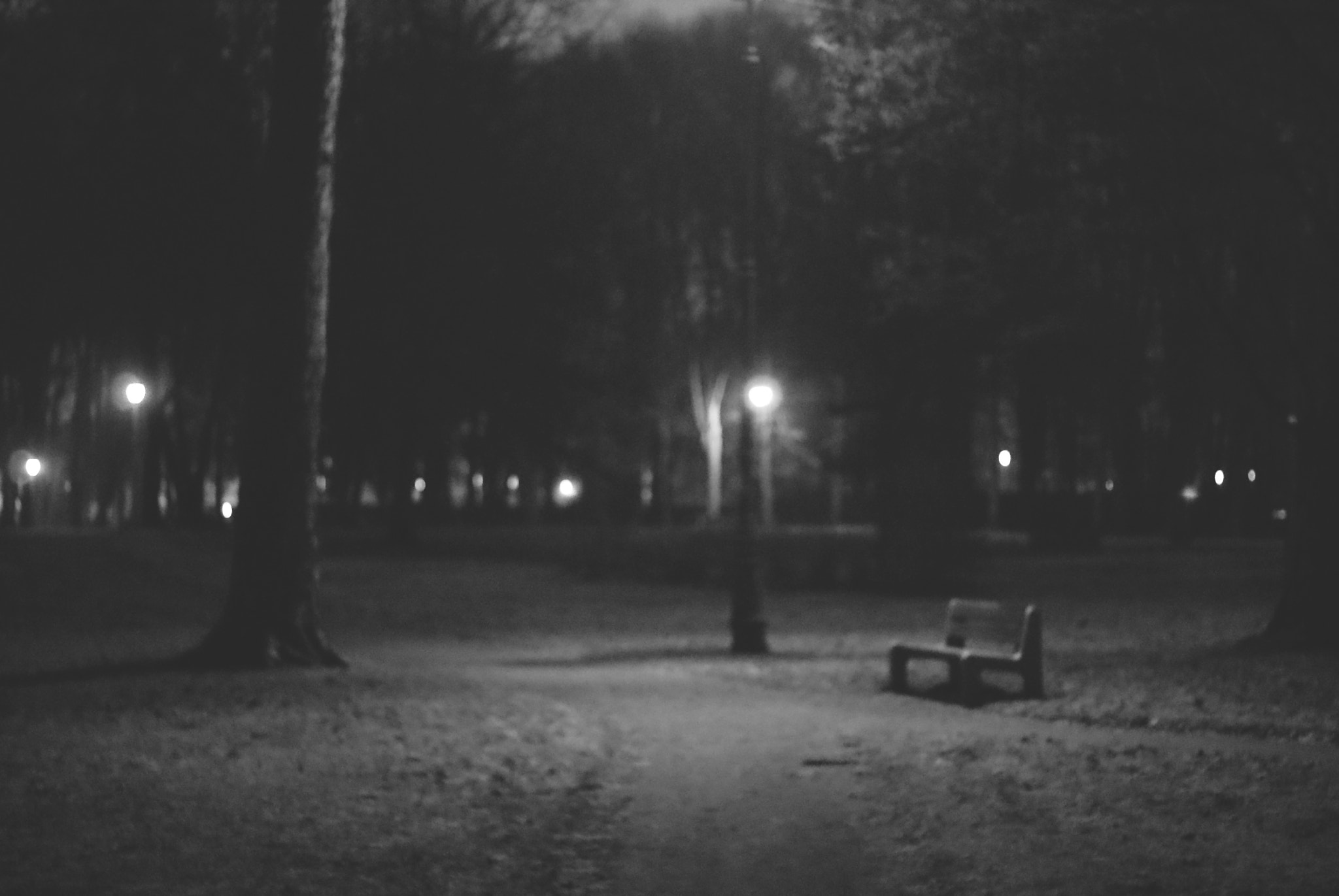 Sony Alpha DSLR-A200 + Minolta AF 50mm F1.7 sample photo. Bench. photography