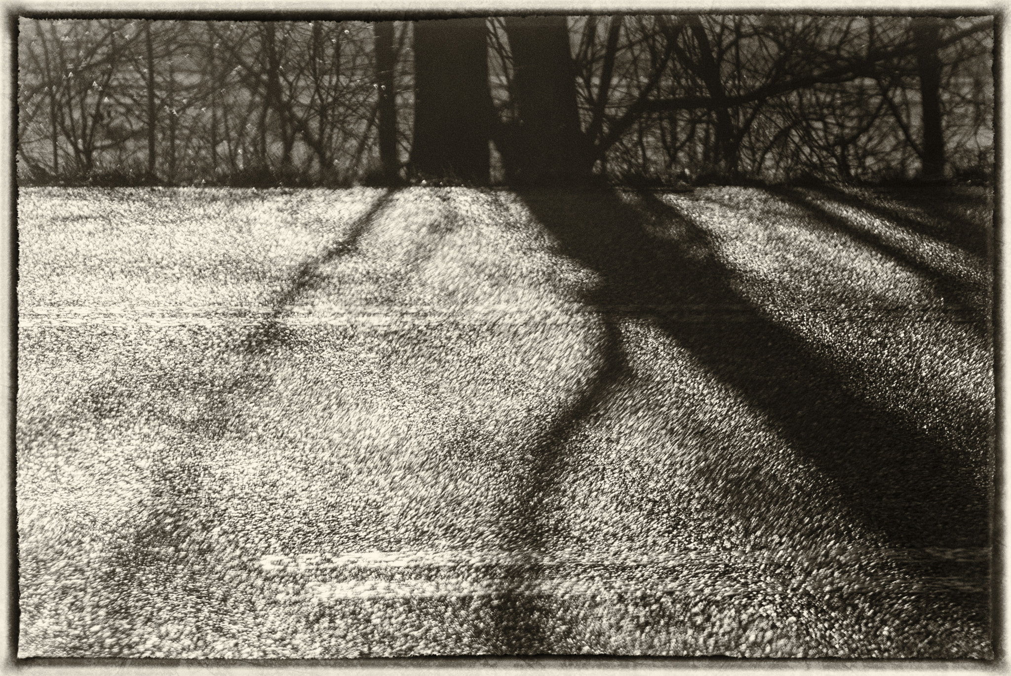 Nikon D200 sample photo. Shadows on the road photography