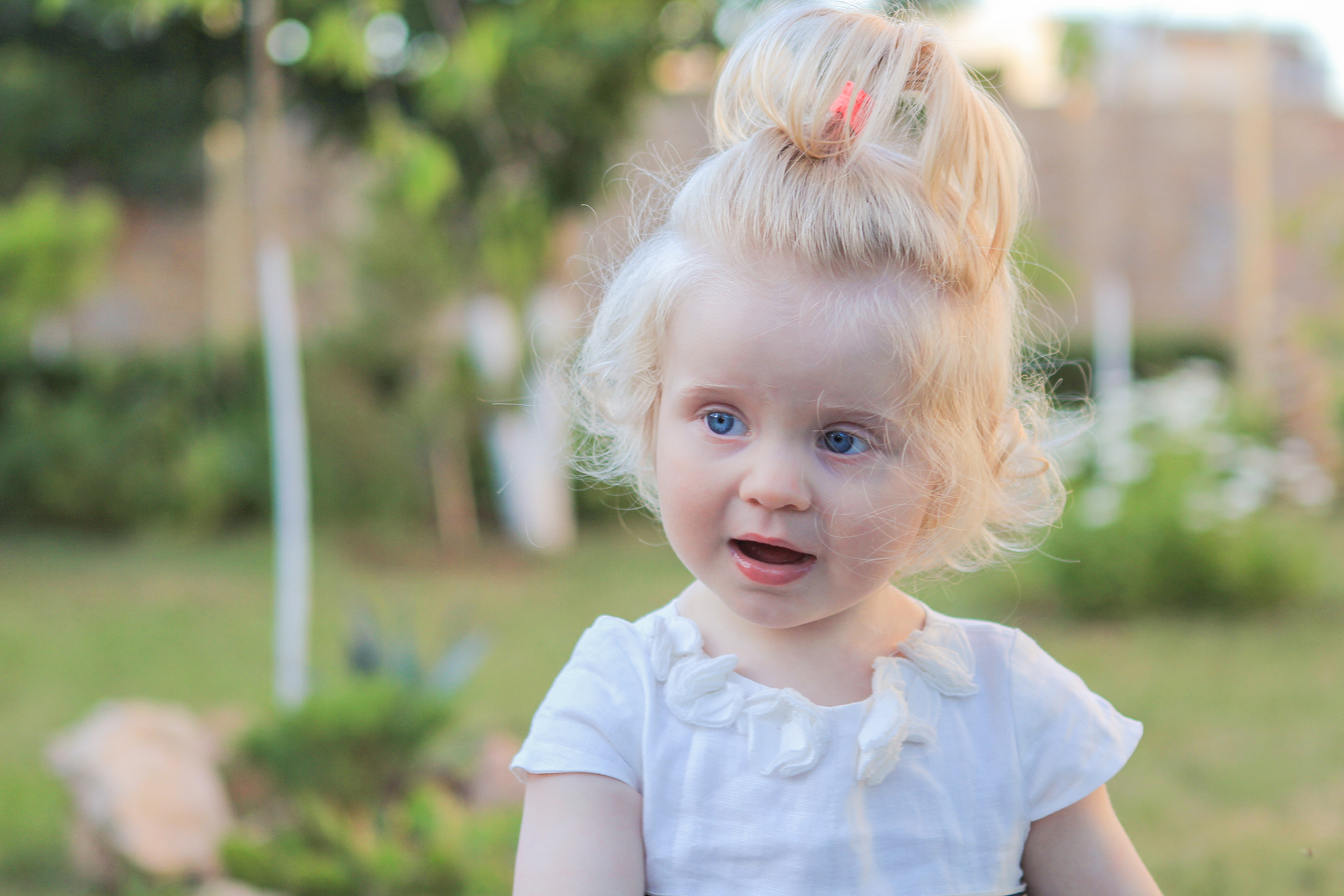 Canon EOS 550D (EOS Rebel T2i / EOS Kiss X4) sample photo. Margo photography