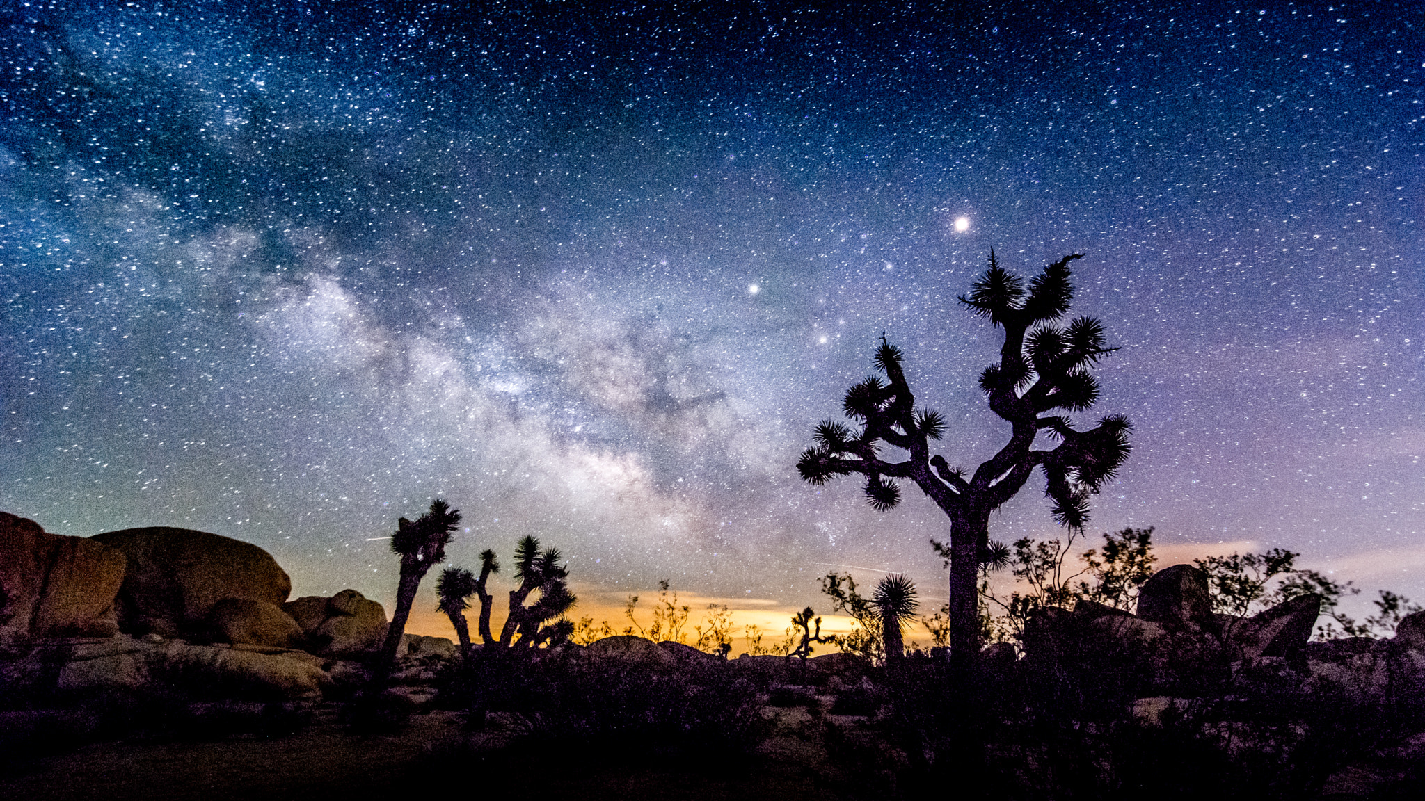 Tokina AT-X Pro 11-16mm F2.8 DX sample photo. Joshua tree hdr photography