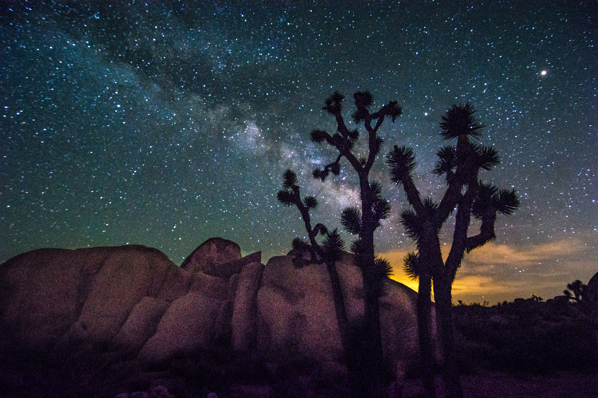 Tokina AT-X Pro 11-16mm F2.8 DX sample photo. Joshua tree photography