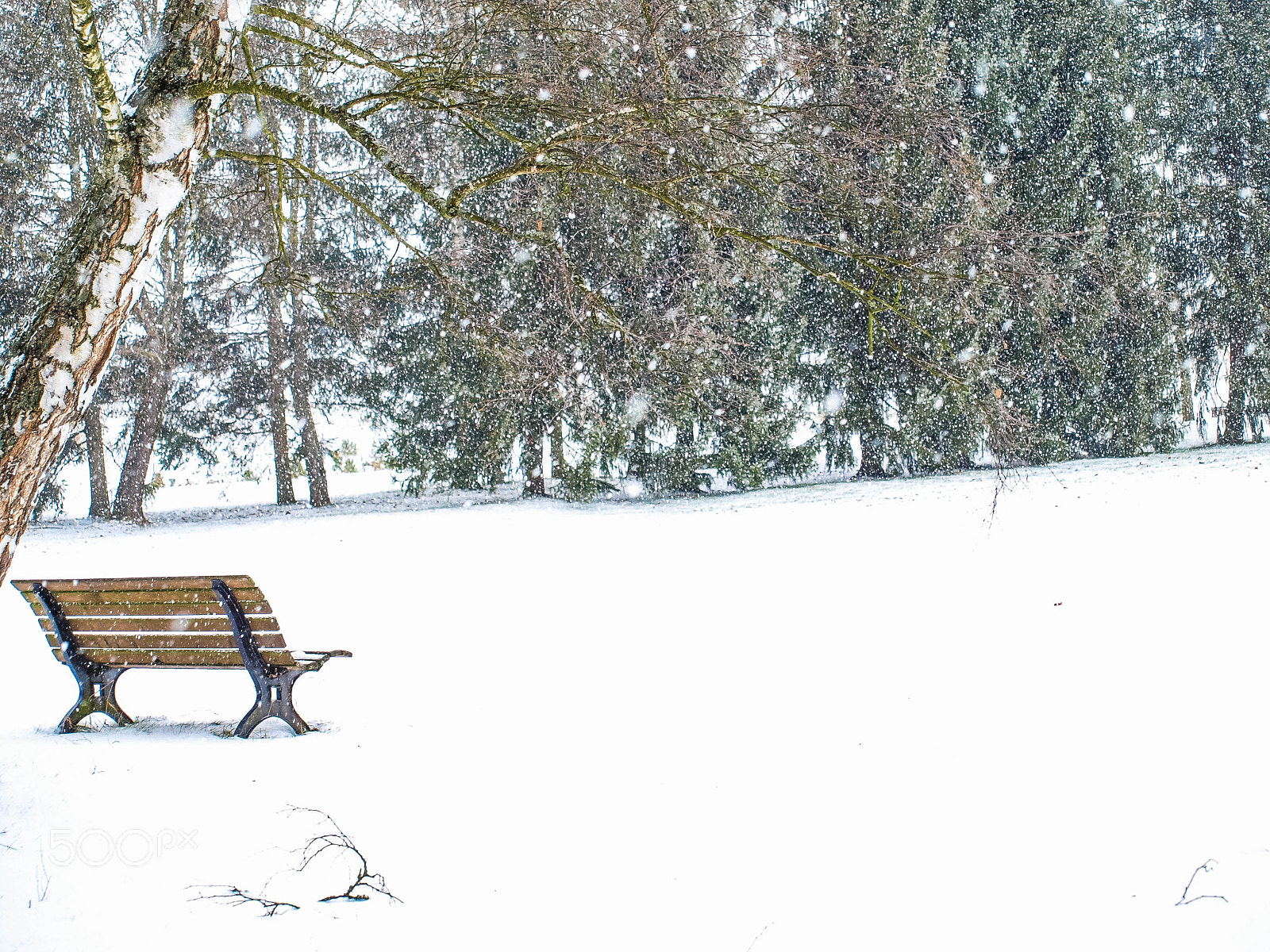 Olympus E-520 (EVOLT E-520) sample photo. The empty bench photography