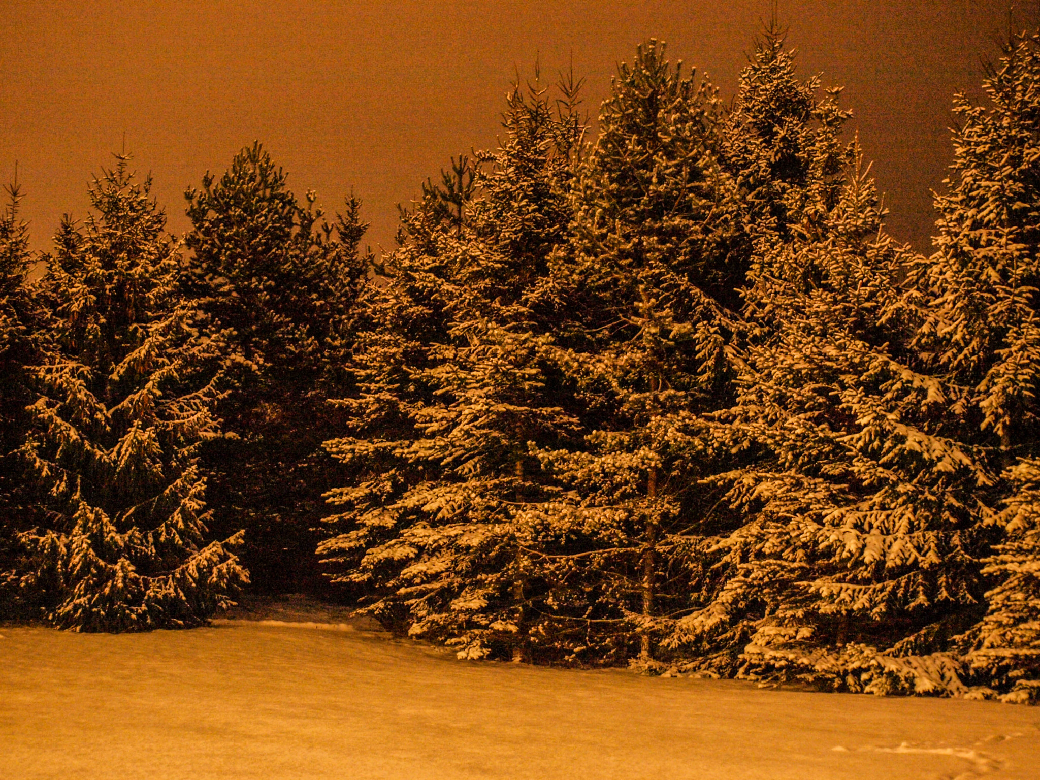 Olympus Zuiko Digital ED 40-150mm F4.0-5.6 sample photo. December night photography