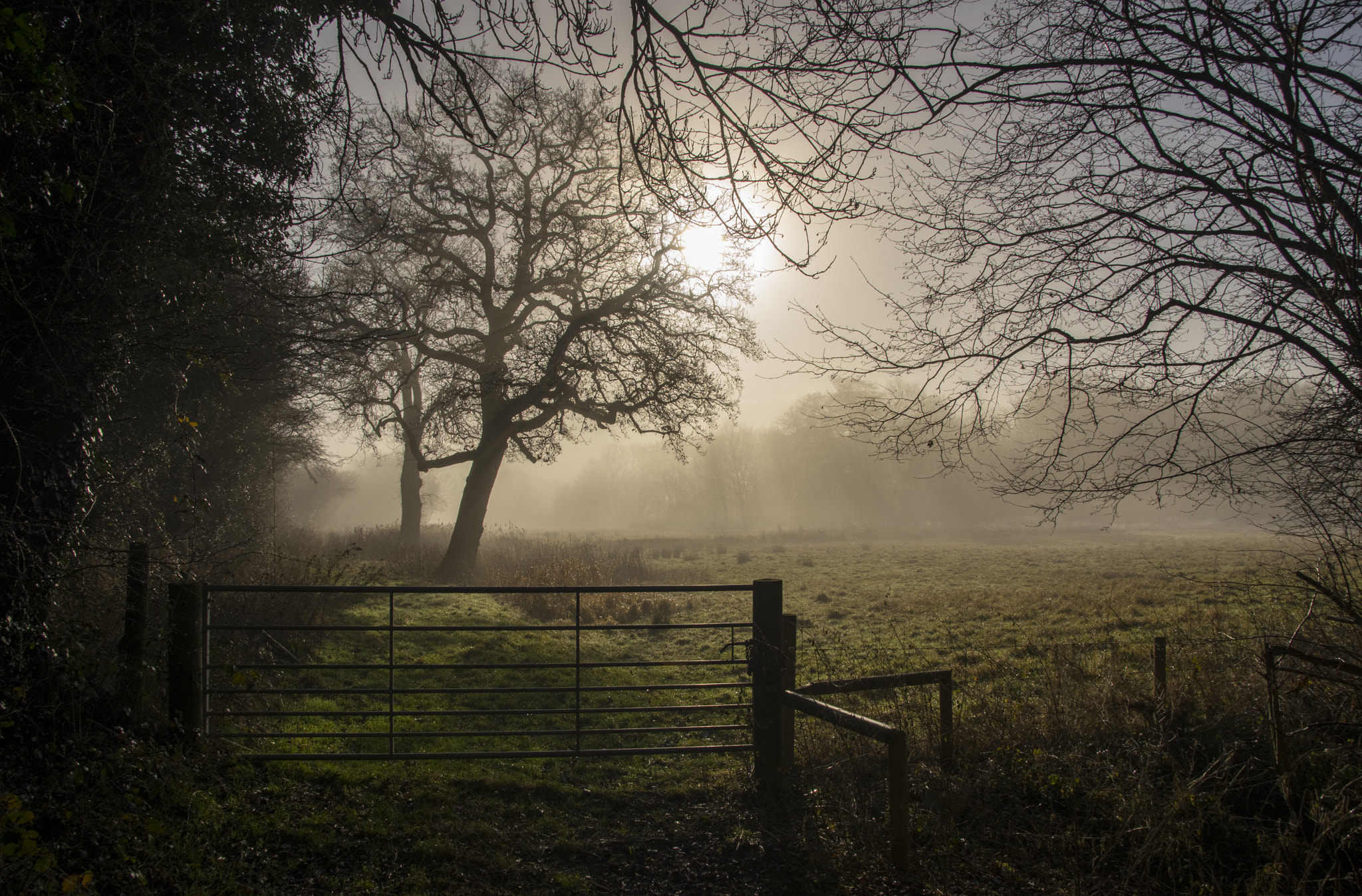 Sigma 17-50mm F2.8 EX DC HSM sample photo. Morning light photography