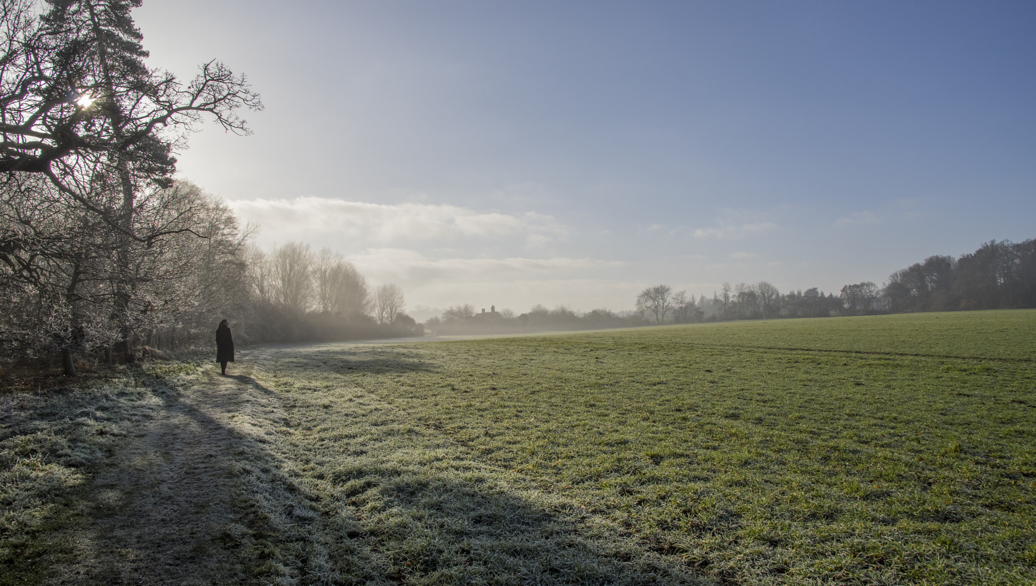 Sigma 17-50mm F2.8 EX DC HSM sample photo. Morning walk photography