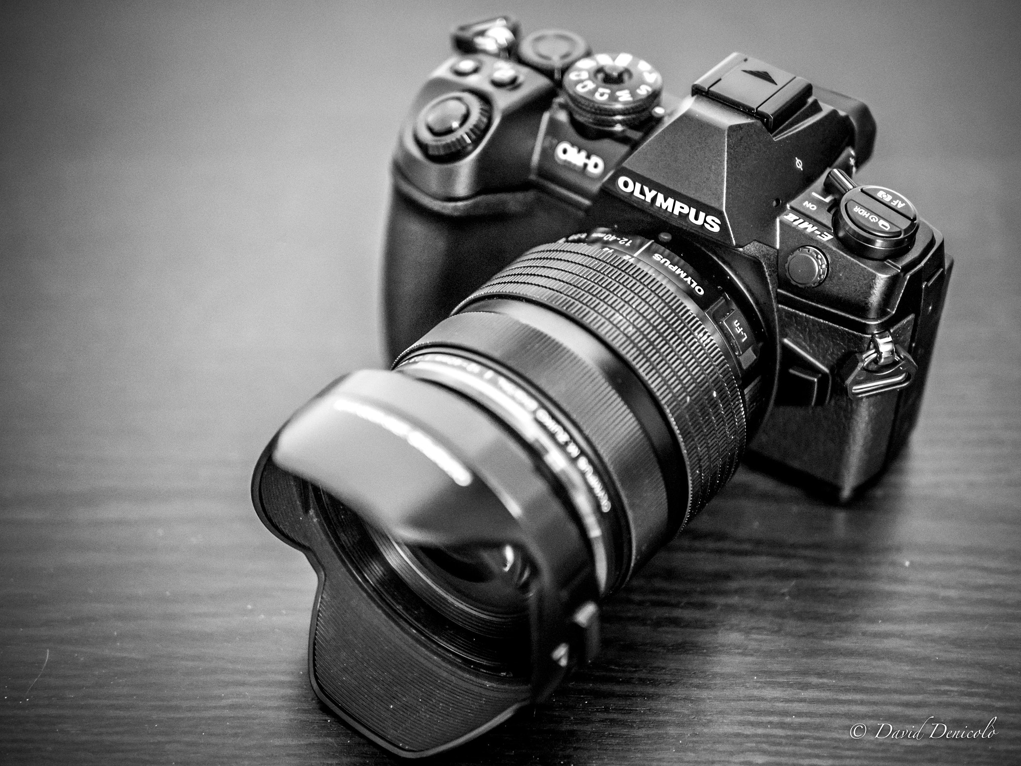 Olympus OM-D E-M5 II + Panasonic Leica DG Summilux 25mm F1.4 II ASPH sample photo. Olympus e-m1 markii photography