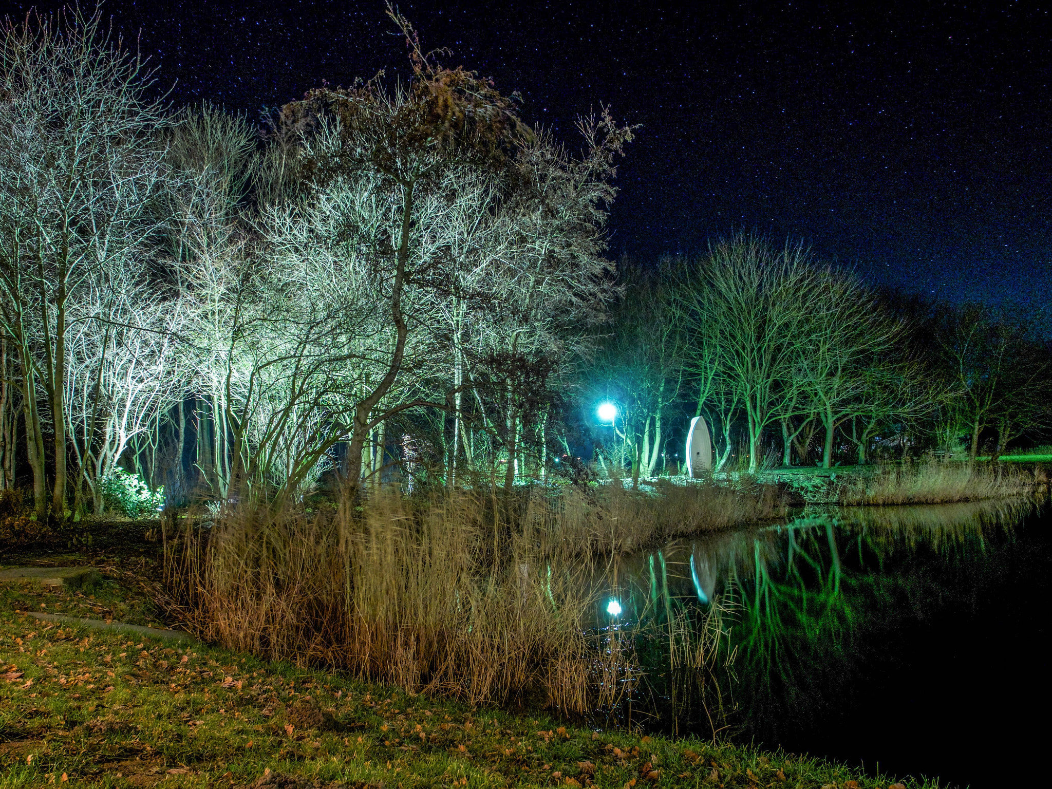 Olympus OM-D E-M5 II + OLYMPUS M.12mm F2.0 sample photo. A play of colors in the trees // part 2 photography