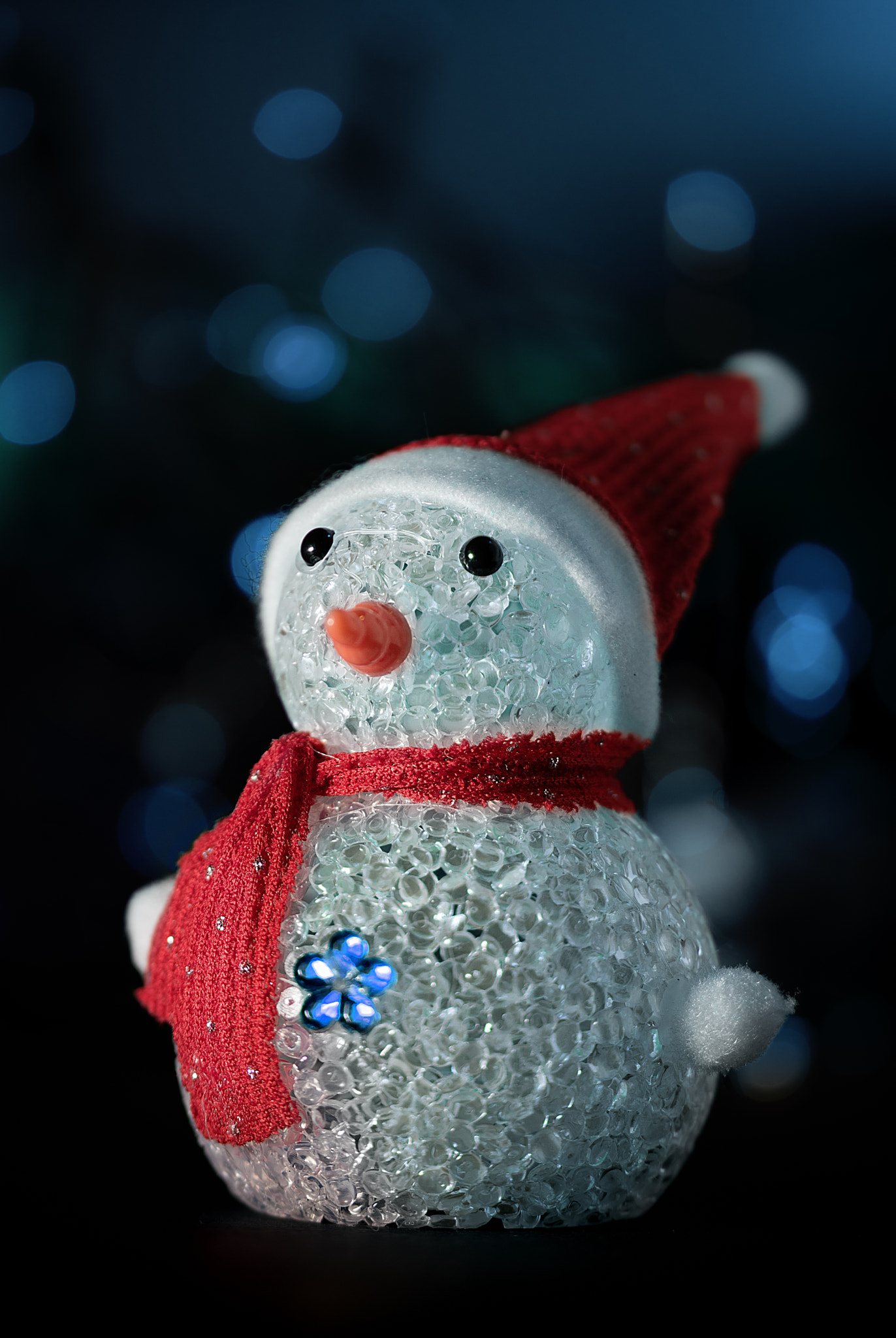 Sigma 105mm F2.8 EX DG OS HSM sample photo. Snowman in the snow photography