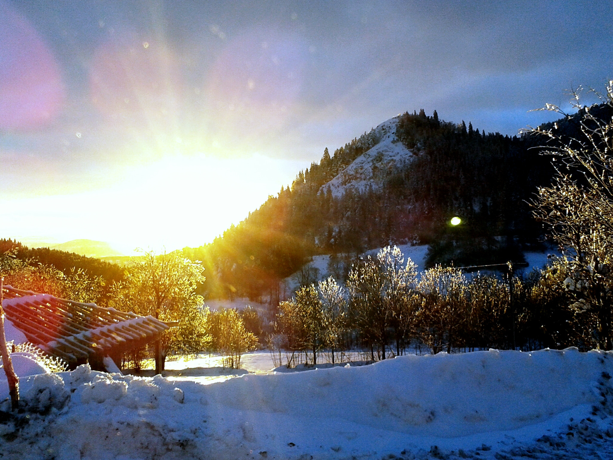 Samsung Galaxy Ace sample photo