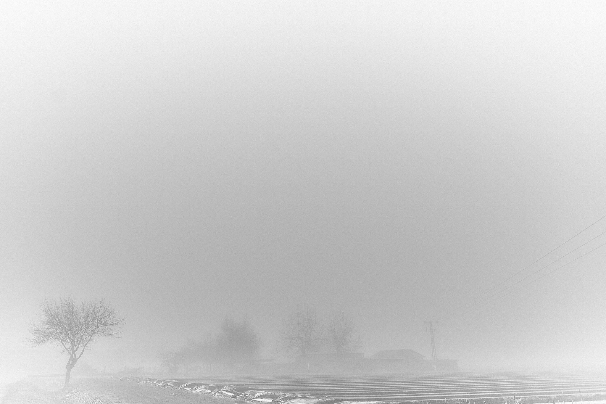 Sony a7 II + Sony FE 28mm F2 sample photo. Dsc photography