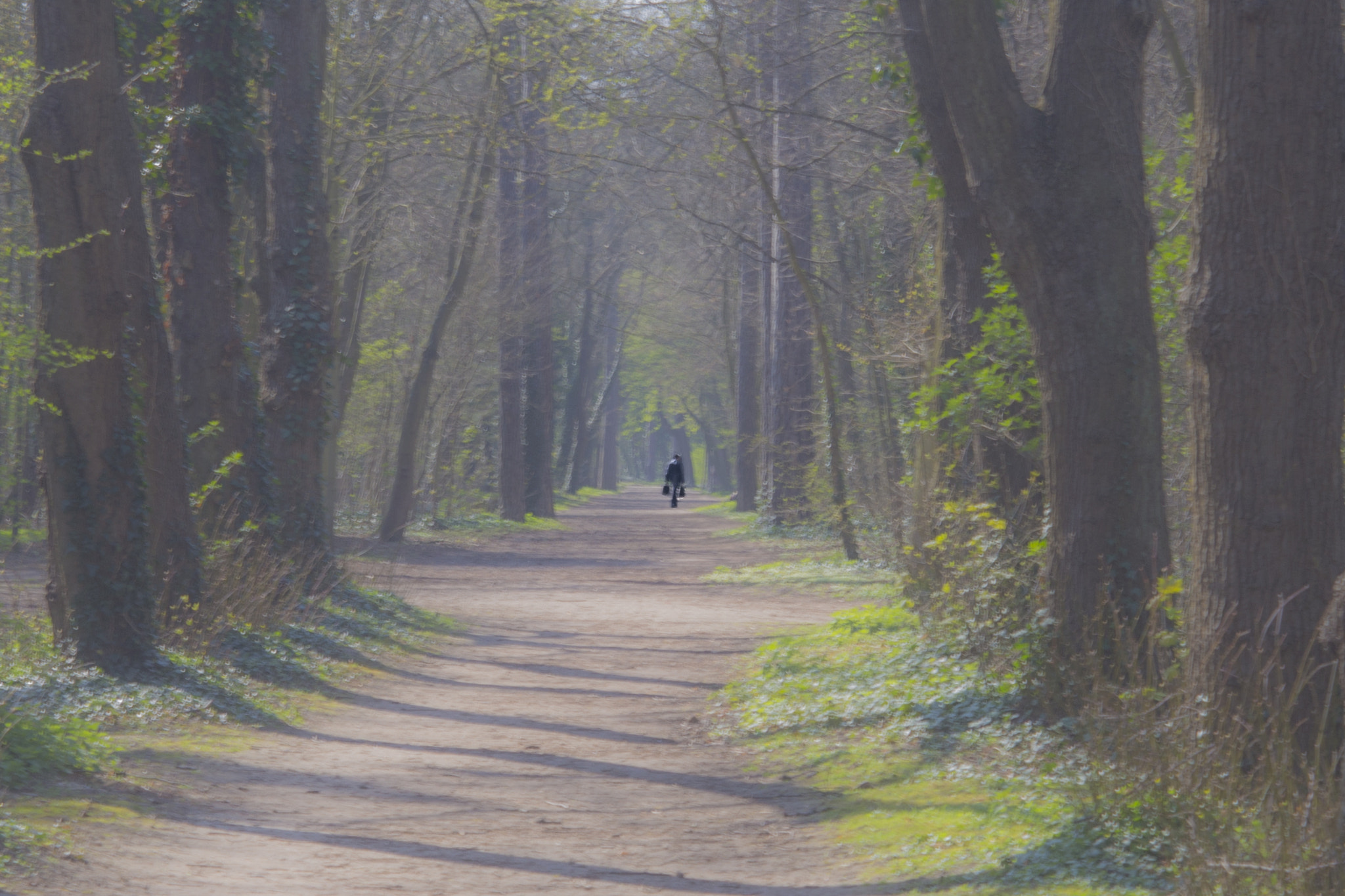 Canon EF 28-90mm f/4-5.6 sample photo. Rotkäppchen/little red riding hood photography