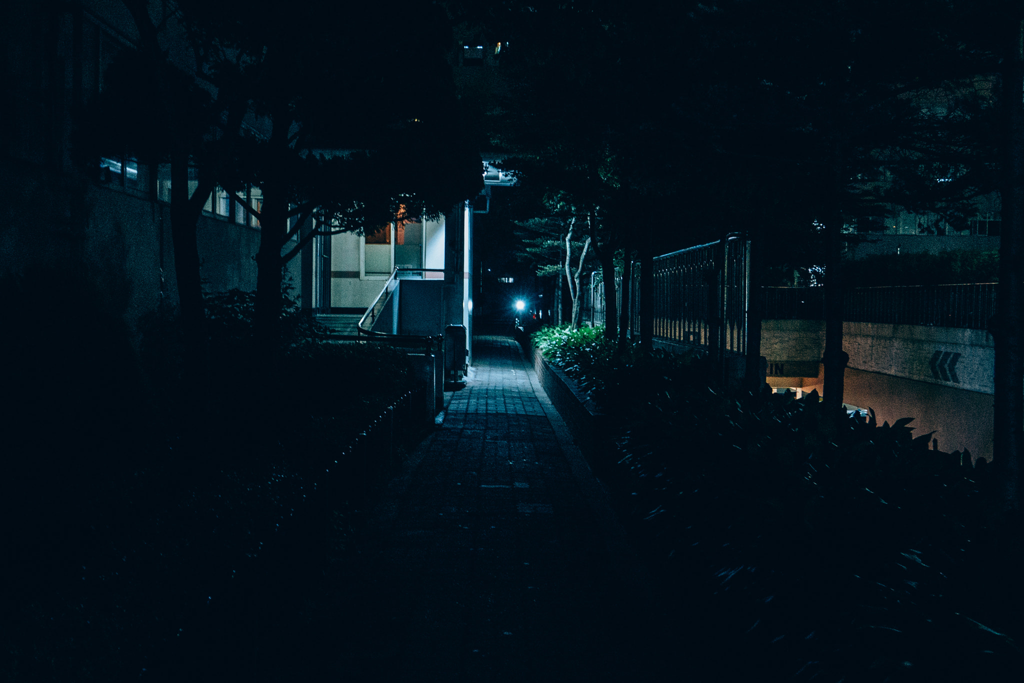 Panasonic Lumix DMC-G7 sample photo