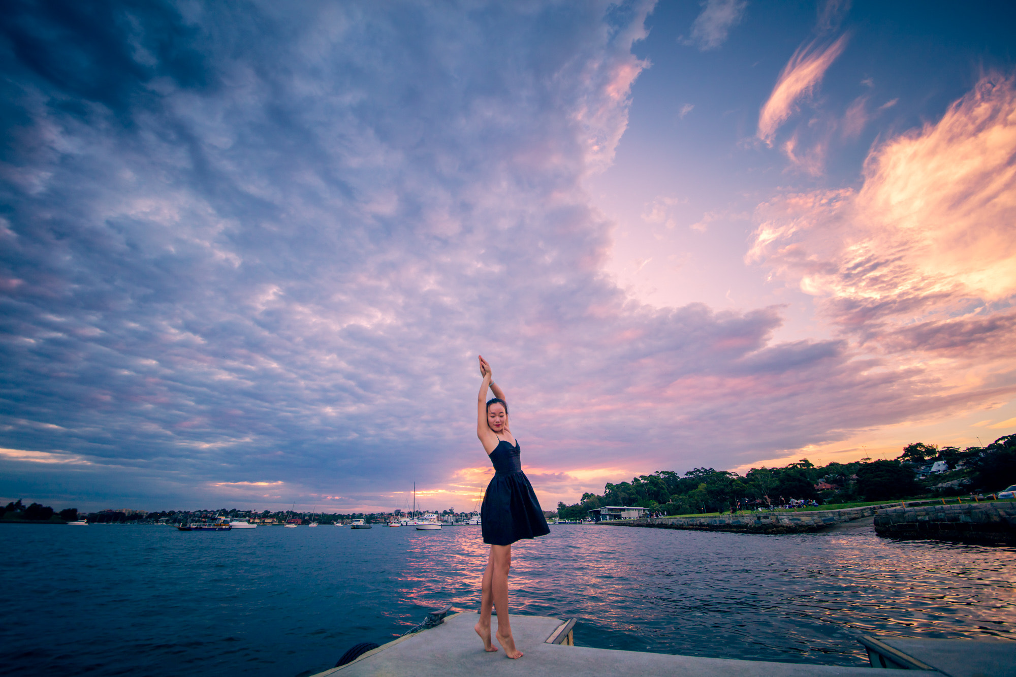 Canon EOS 5DS + Sigma 12-24mm F4.5-5.6 II DG HSM sample photo. Black swan photography