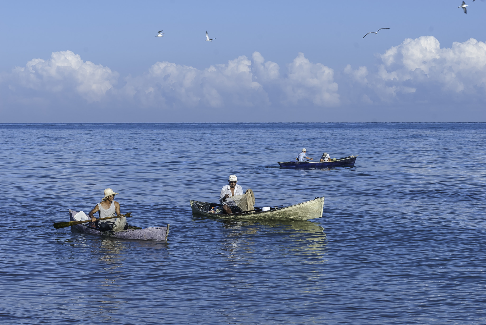 Nikon D200 sample photo. La ceiba photography