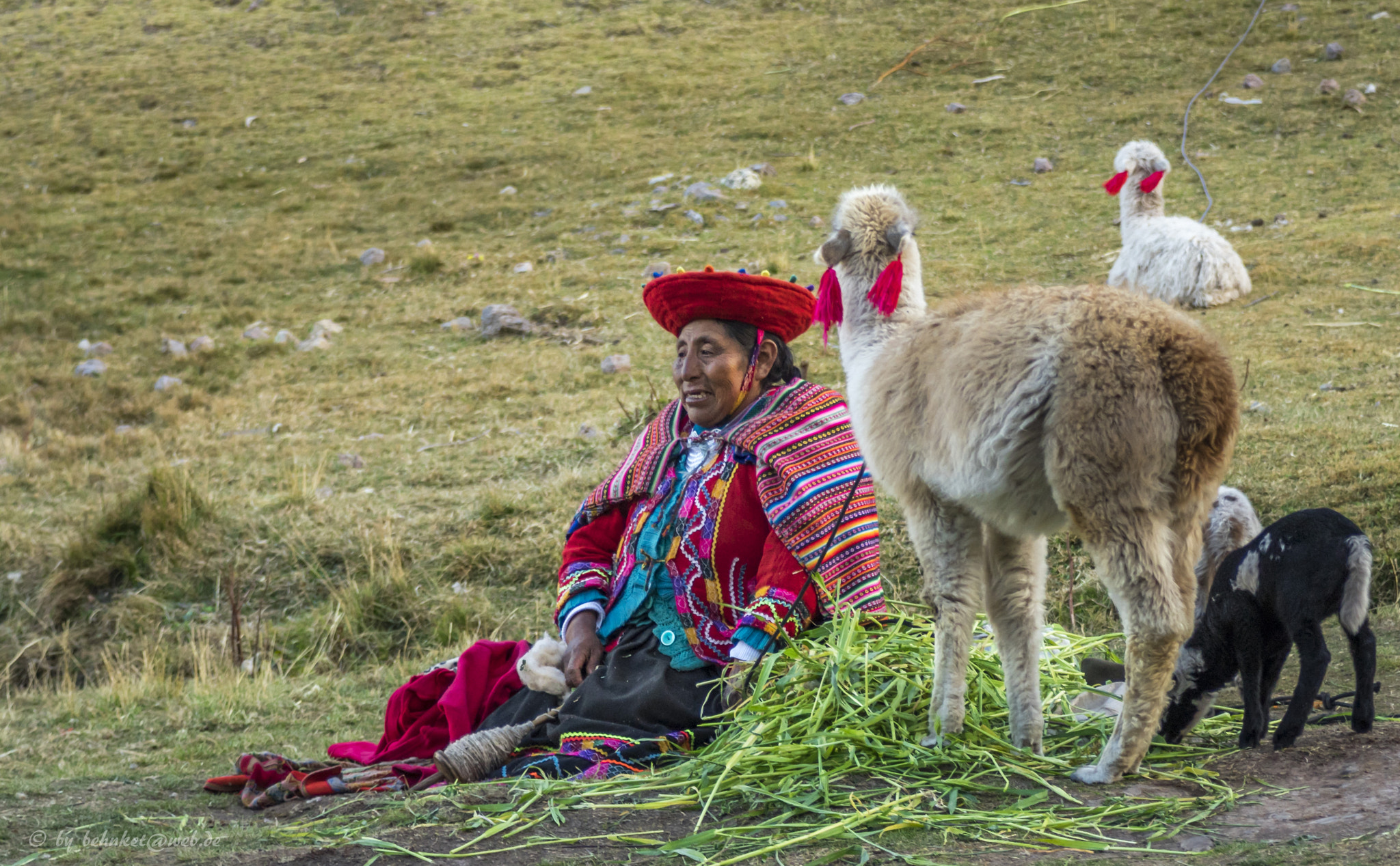 Minolta AF 24-85mm F3.5-4.5 [New] sample photo. Costume photography