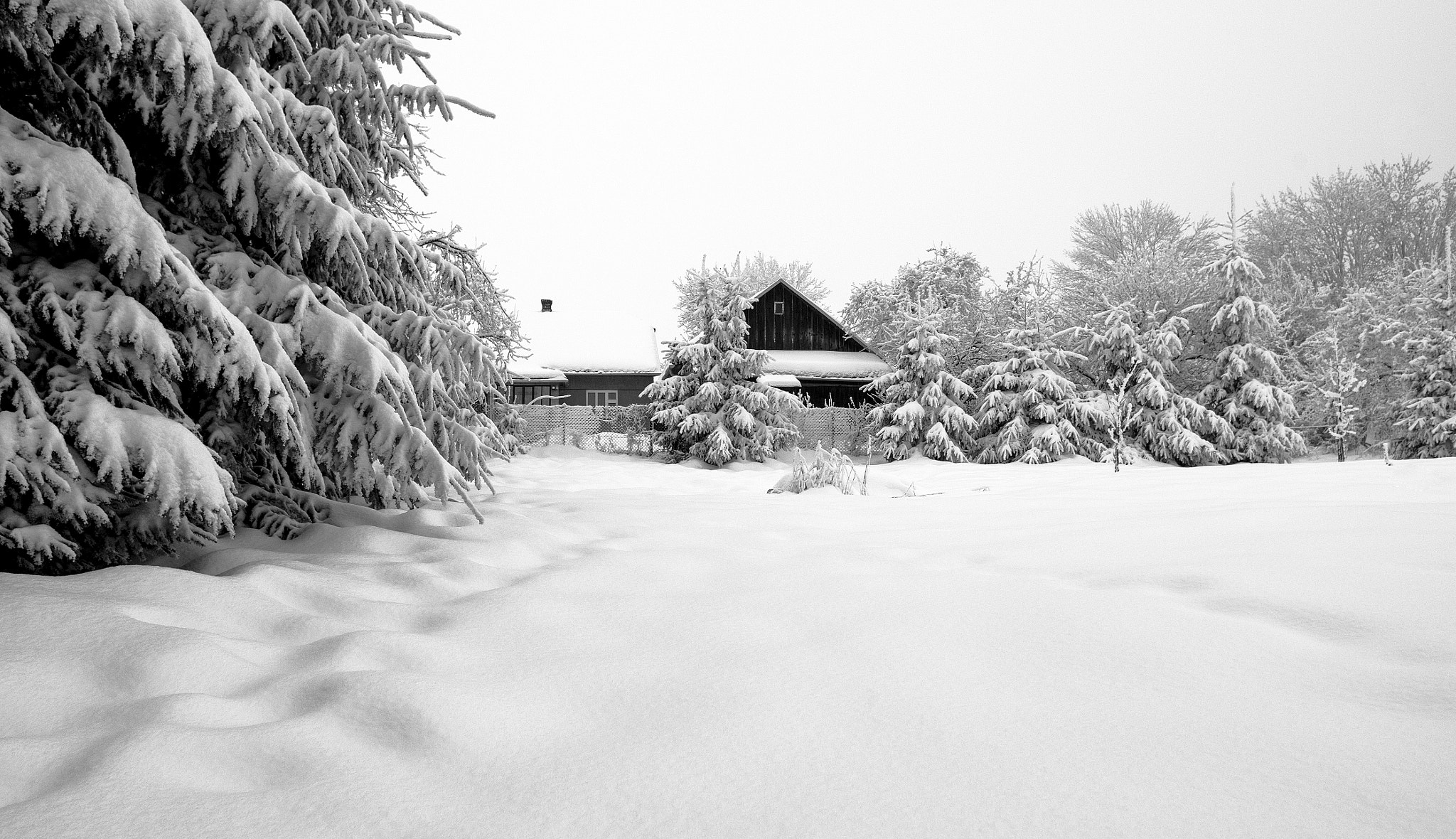 Pentax K-50 sample photo. Winter photography