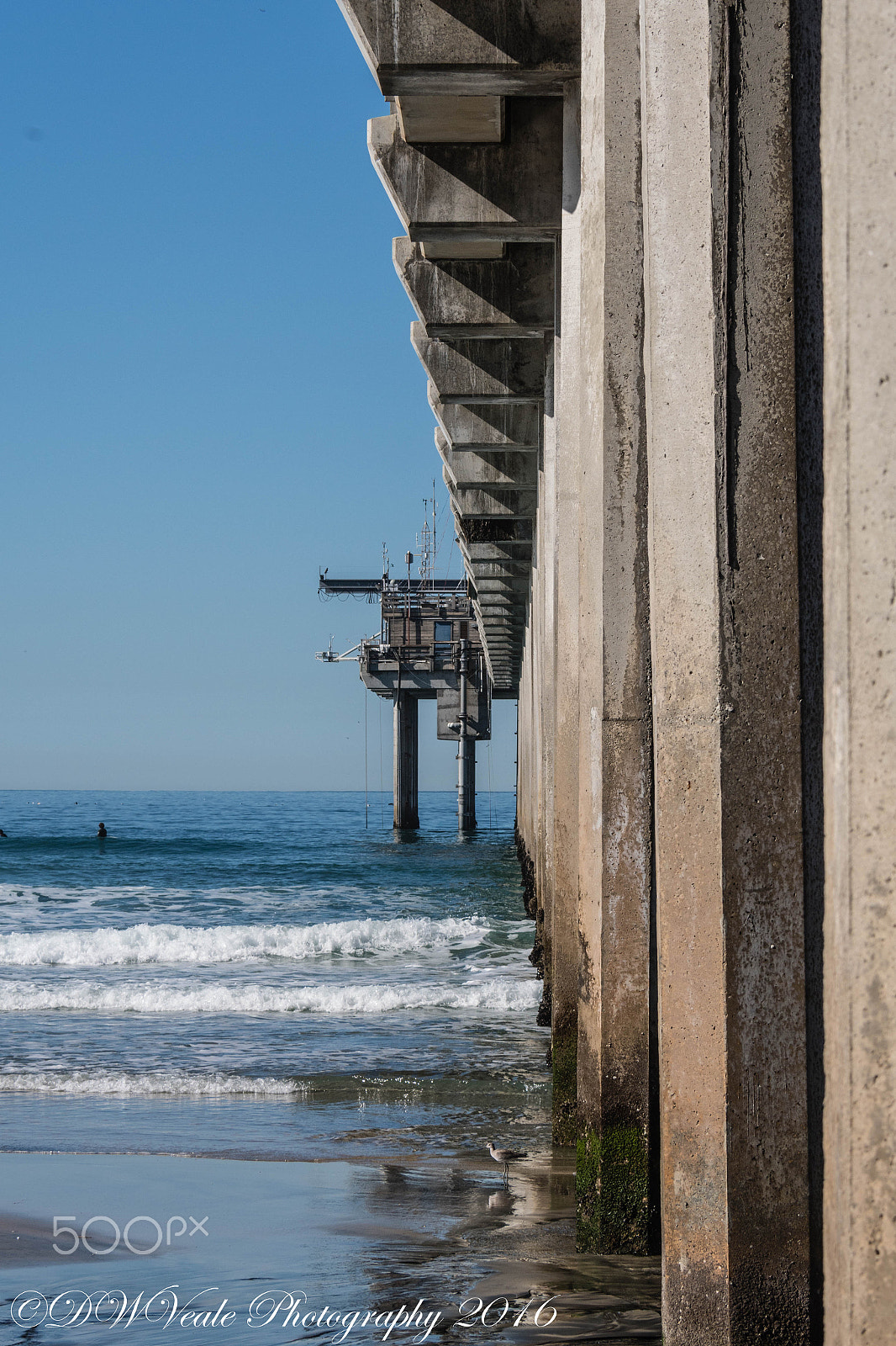 Nikon D500 sample photo. Scripps pier/la jolla photography