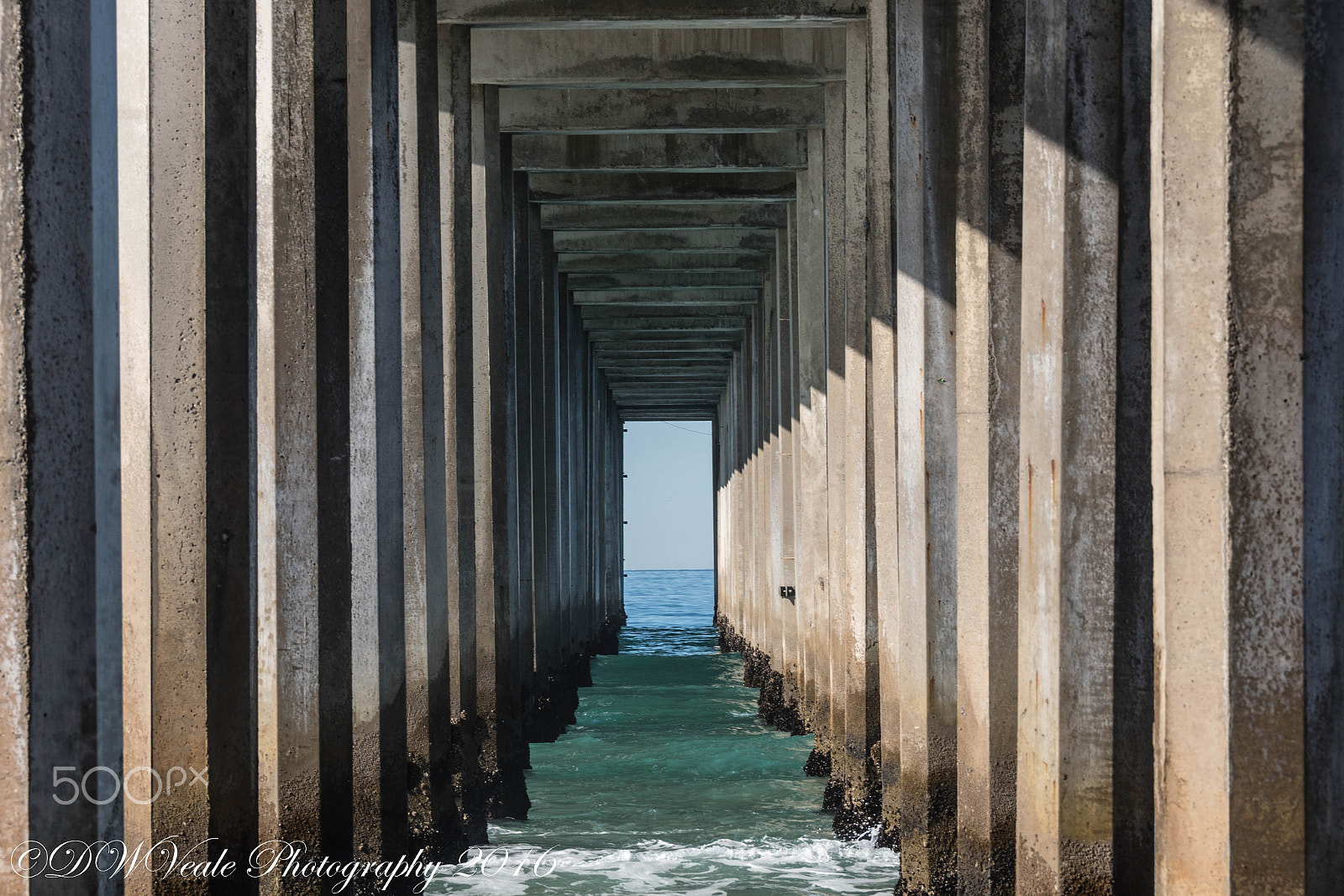 Nikon D500 sample photo. Scripps pier/la jolla photography