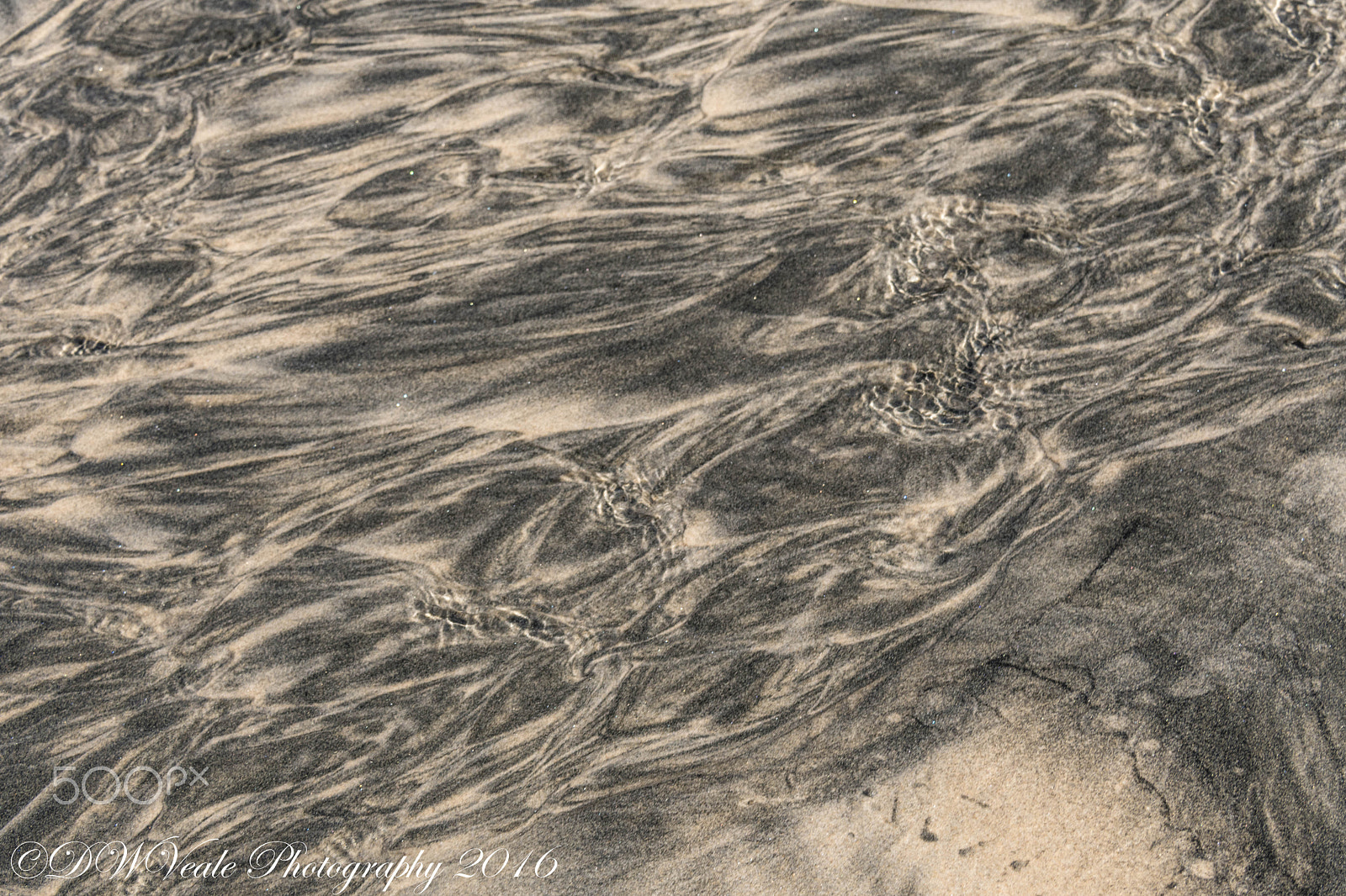 Nikon D500 sample photo. Scripps pier/la jolla photography