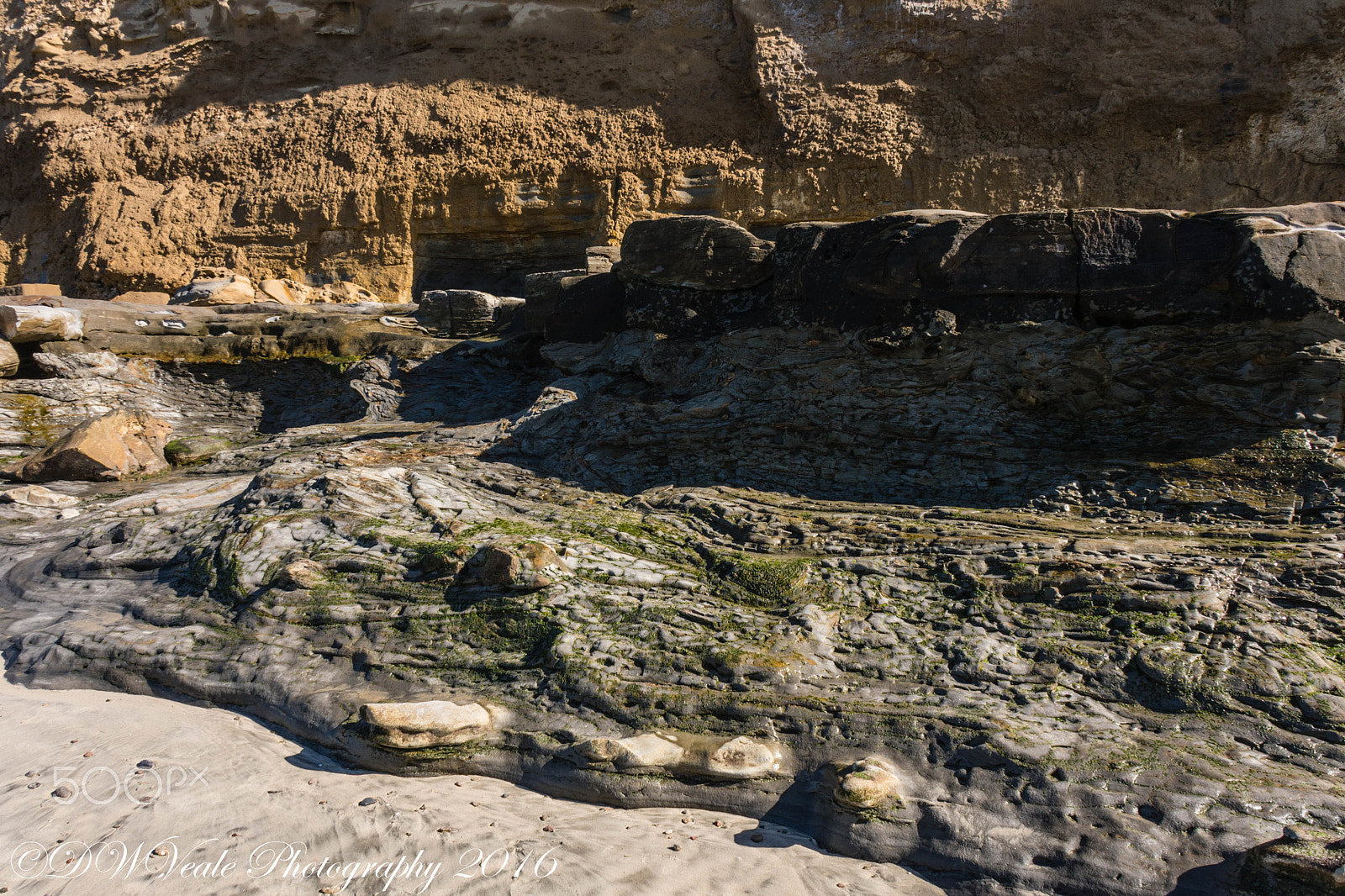 Nikon D500 sample photo. Scripps pier/la jolla photography