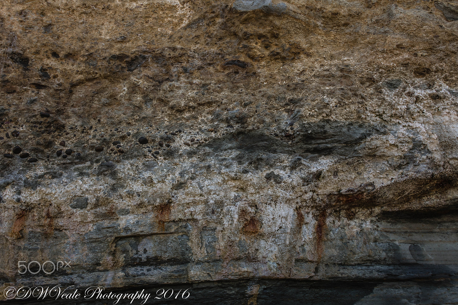 Nikon D500 sample photo. Scripps pier/la jolla photography