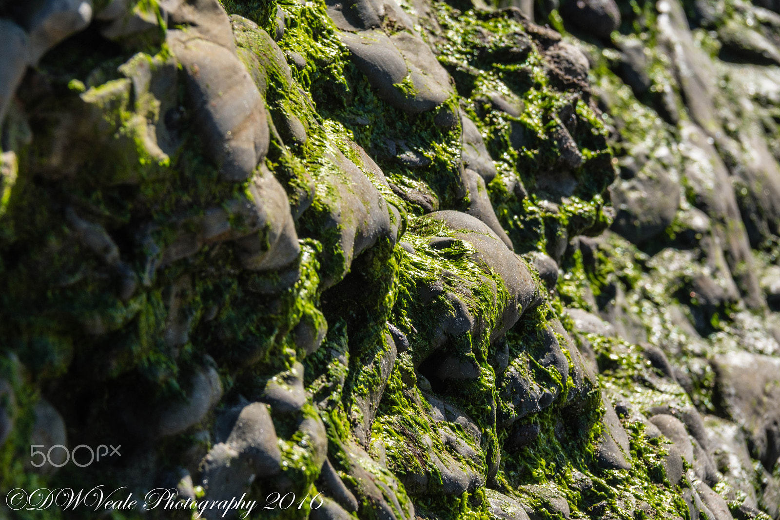 Nikon D500 sample photo. Scripps pier/la jolla photography