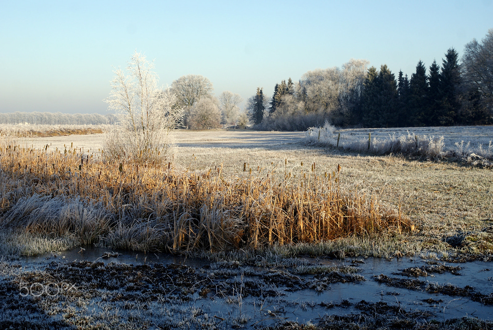 Sony Alpha DSLR-A200 sample photo. Frosted landscape photography