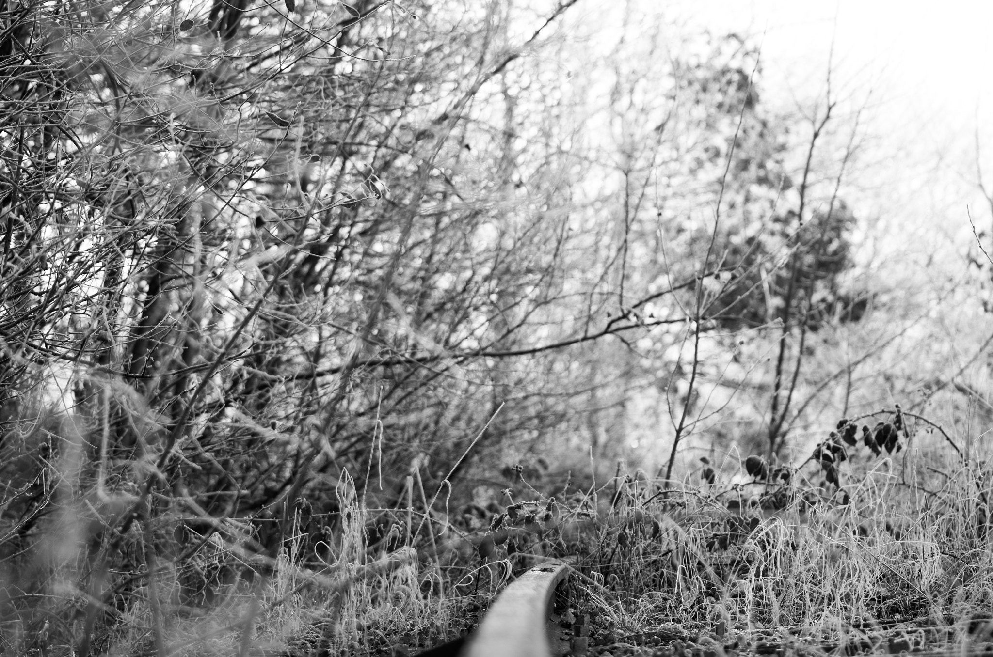 Pentax K-30 + Sigma sample photo. Untitled photography