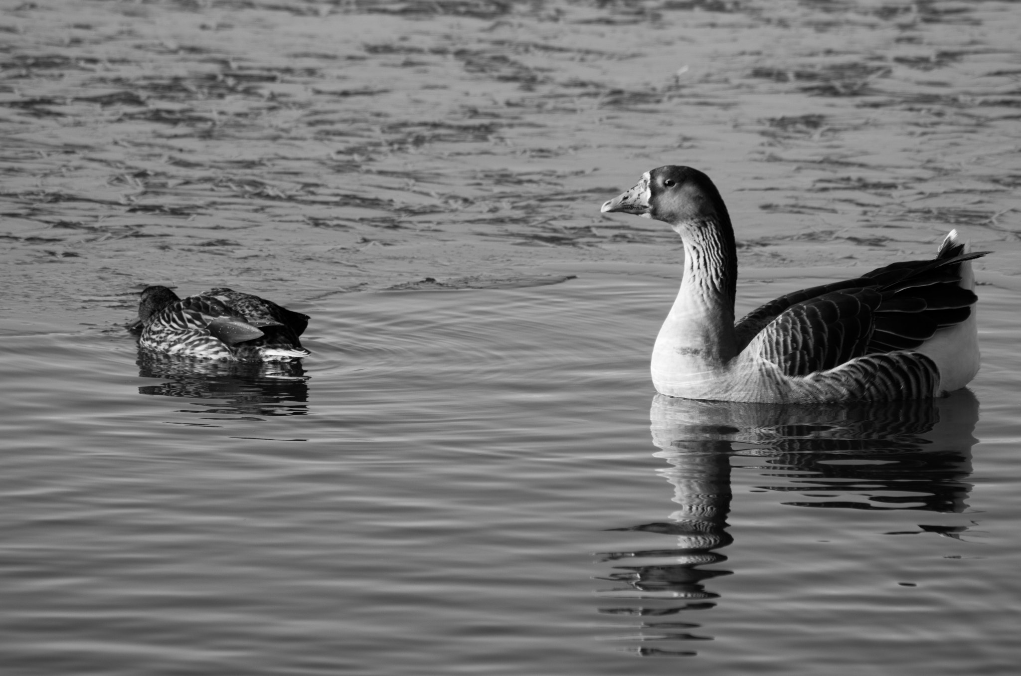 Pentax K-30 sample photo