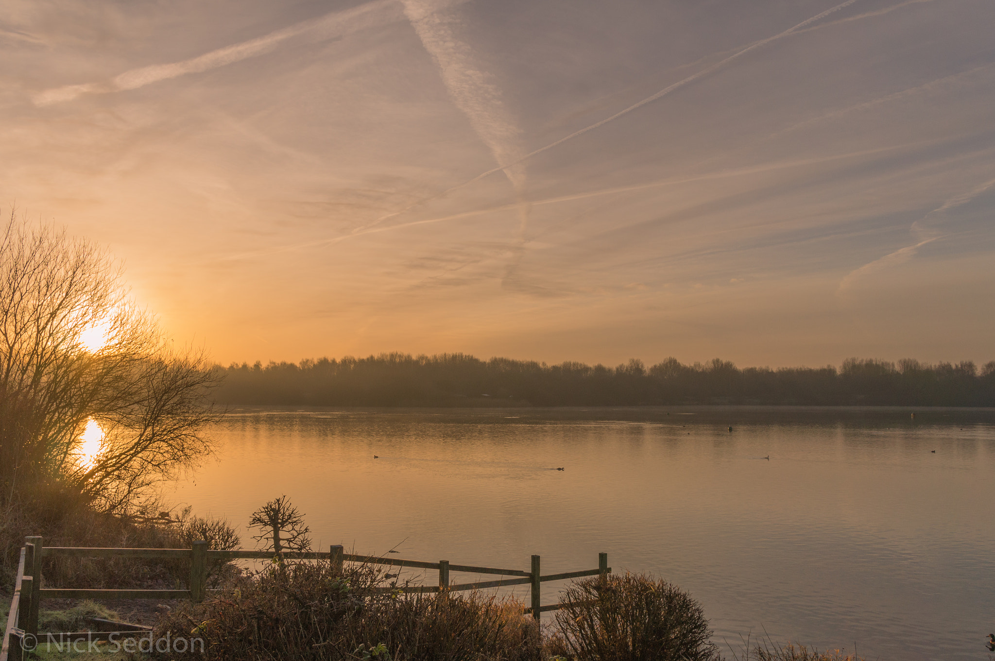 Sony Alpha NEX-C3 sample photo. Pennington flash uk - main flash photography