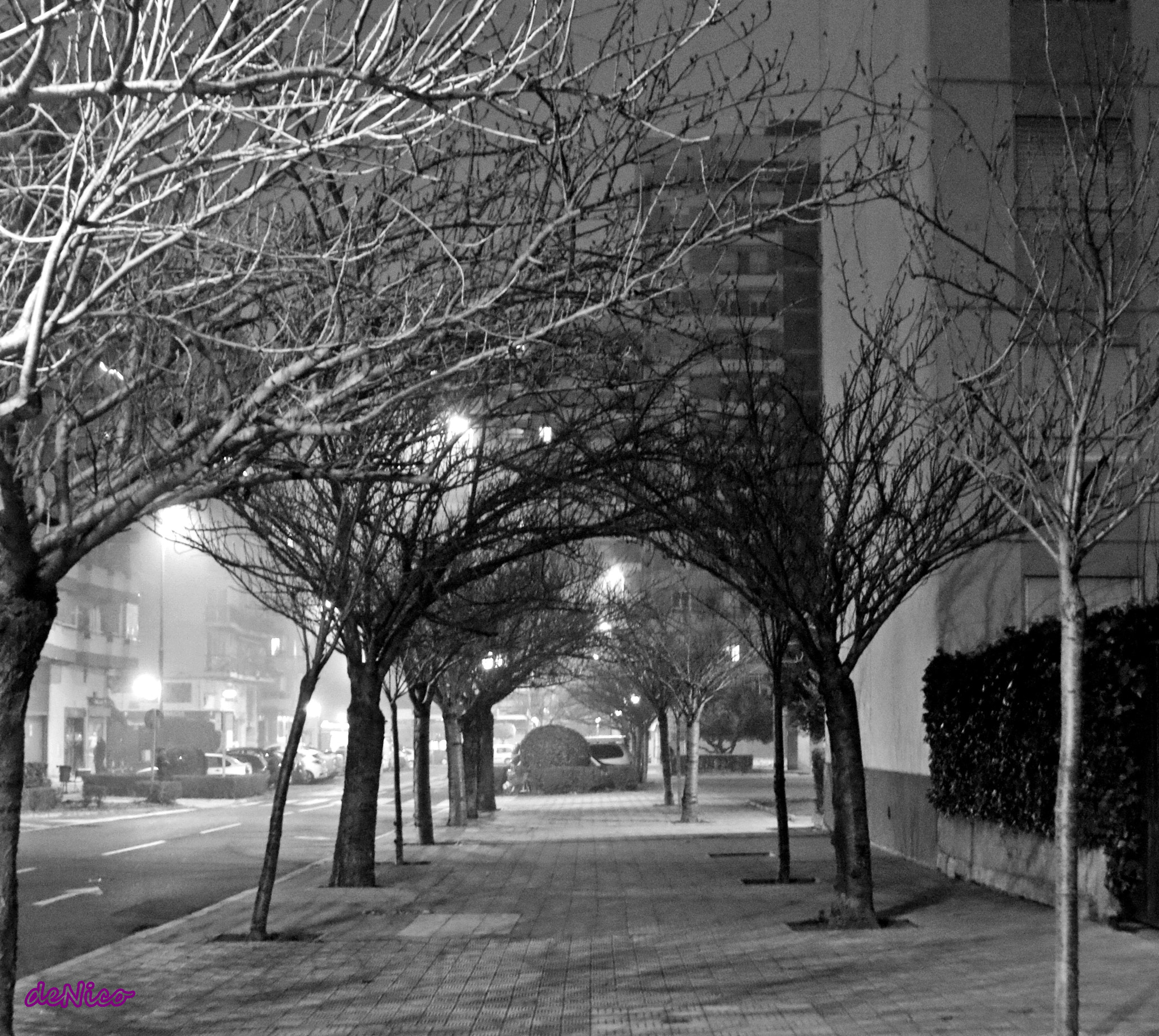 Sigma 24-105mm f/4 DG OS HSM | A sample photo. Img photography