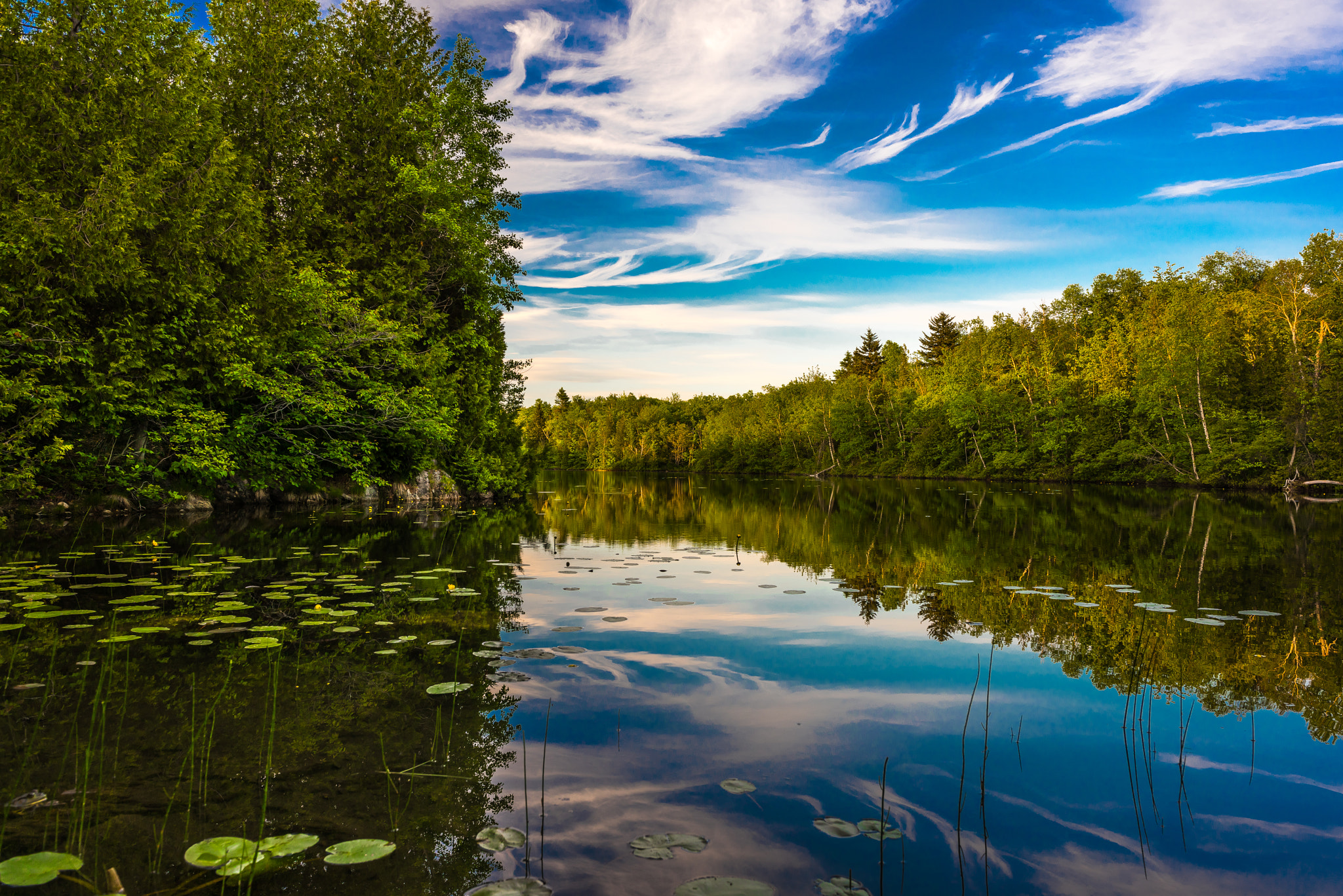 Nikon D810 sample photo. Vivid lake photography