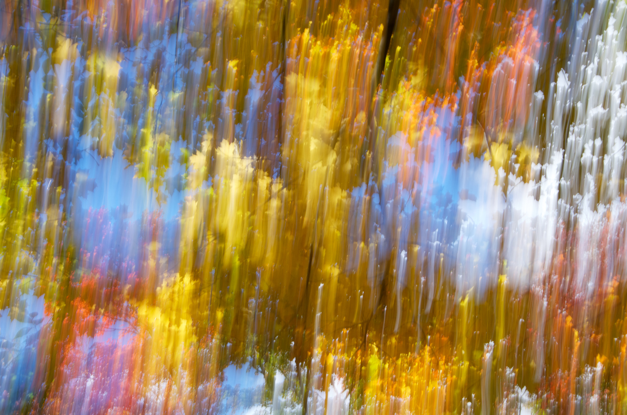Pentax K-5 II sample photo. Fall impression (2016) photography