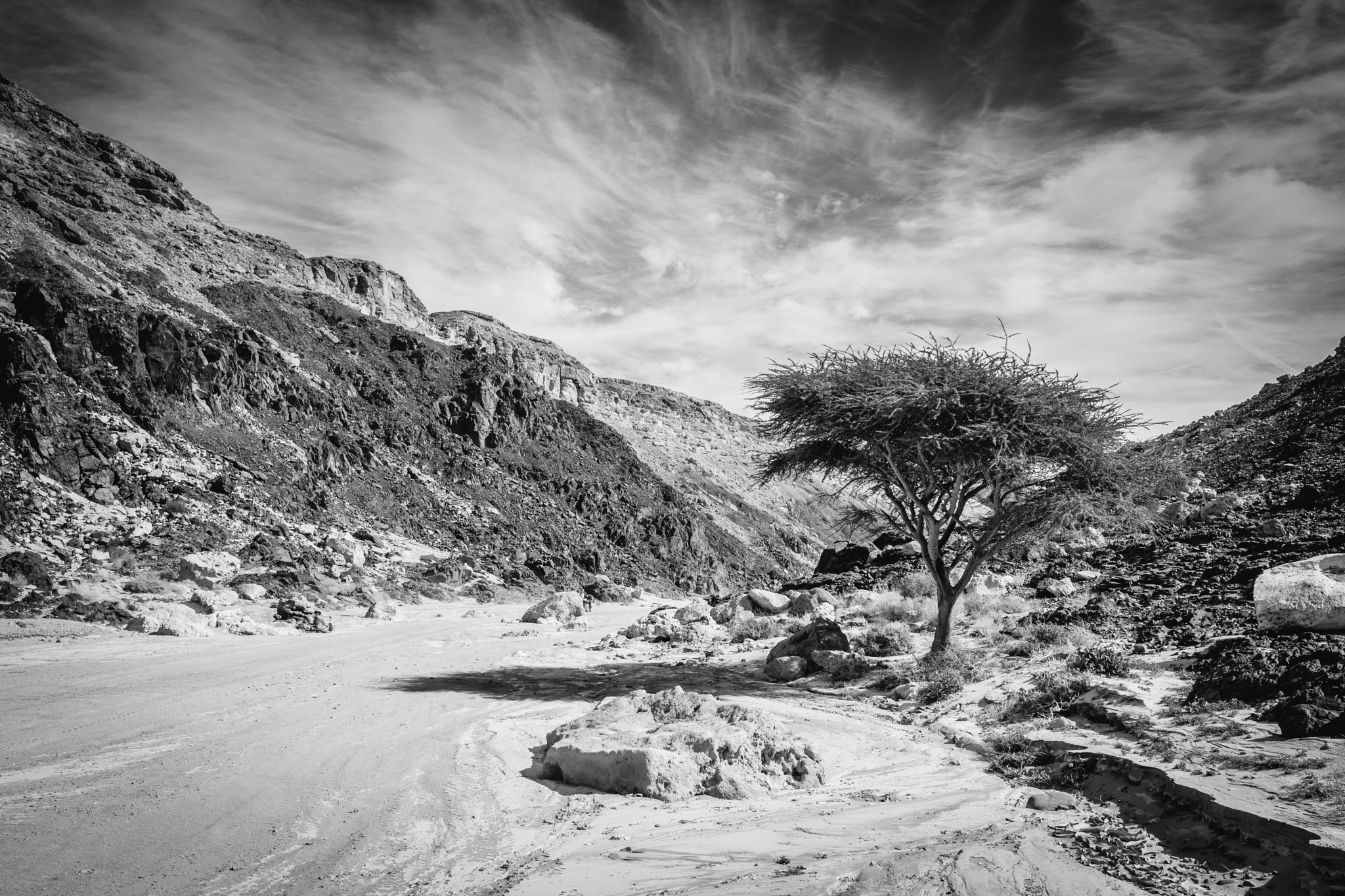 Nikon D7100 + Nikon AF-S Nikkor 20mm F1.8G ED sample photo. El gouna photography