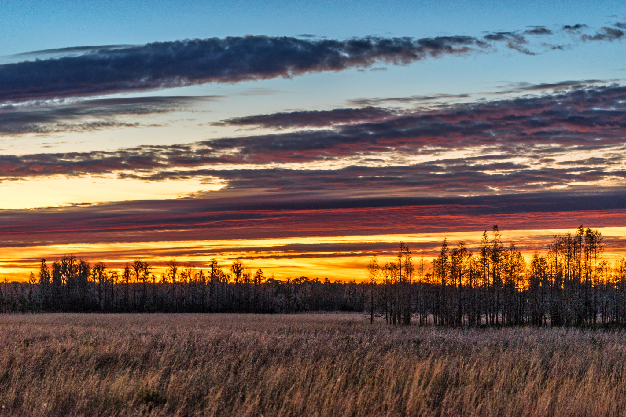 Sony FE 70-300mm F4.5-5.6 G OSS sample photo. Florida sky is on fire!!! photography
