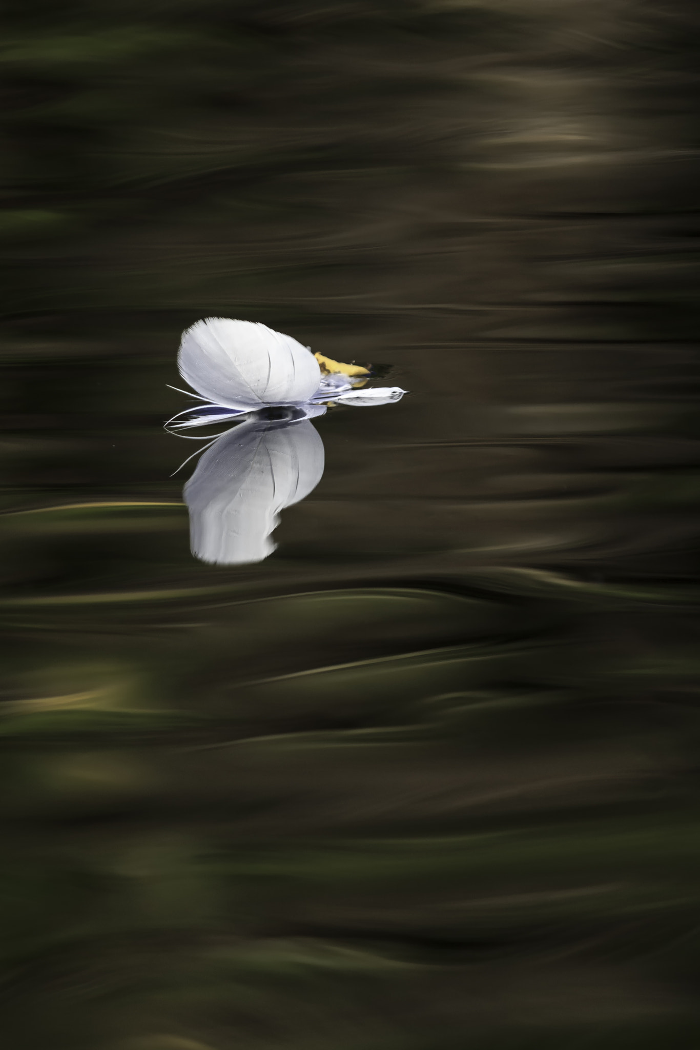 Canon EF 70-200mm F2.8L IS II USM sample photo. Calm photography