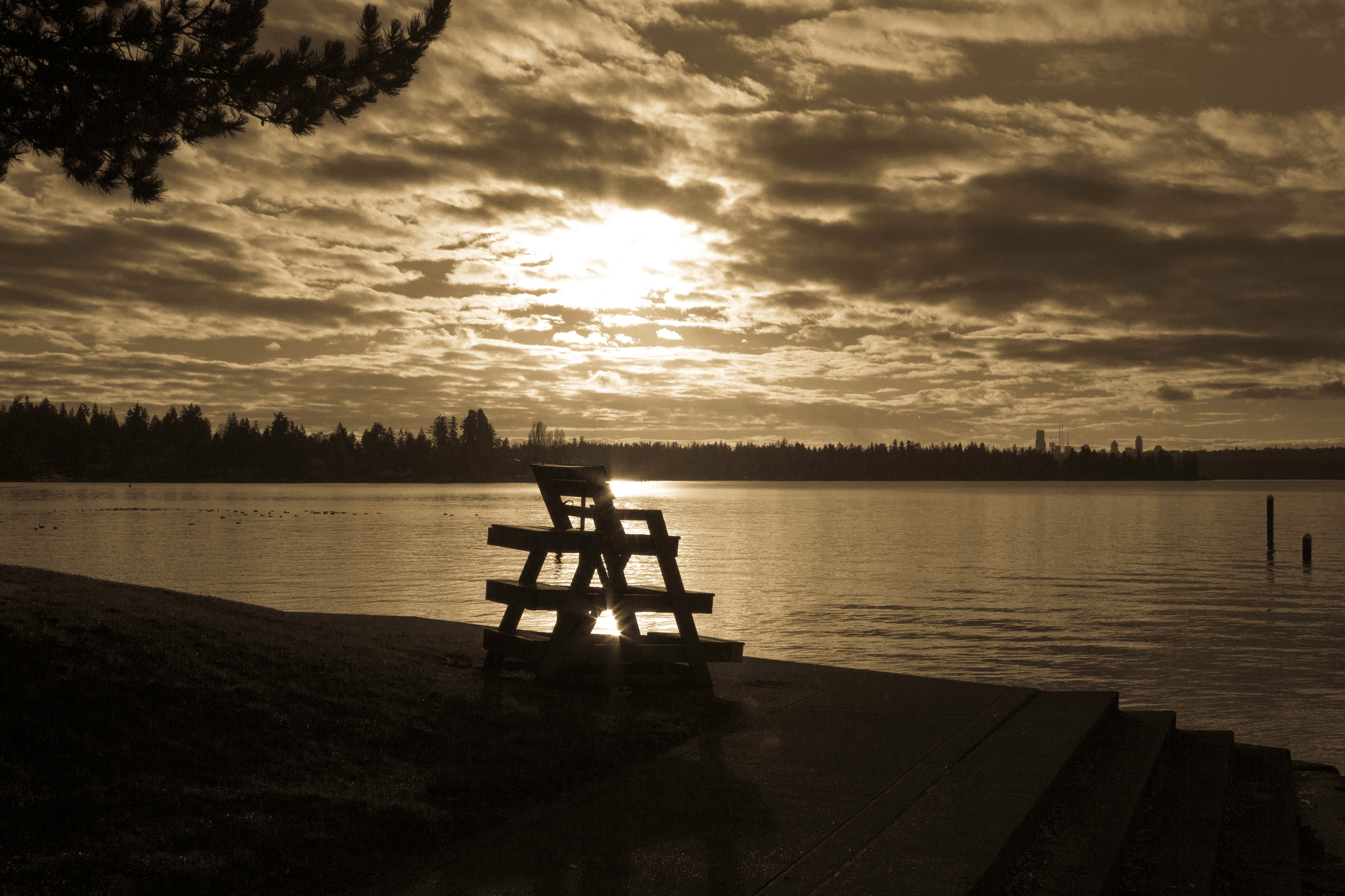 Canon EOS 700D (EOS Rebel T5i / EOS Kiss X7i) sample photo. Il sole sul lago washington photography