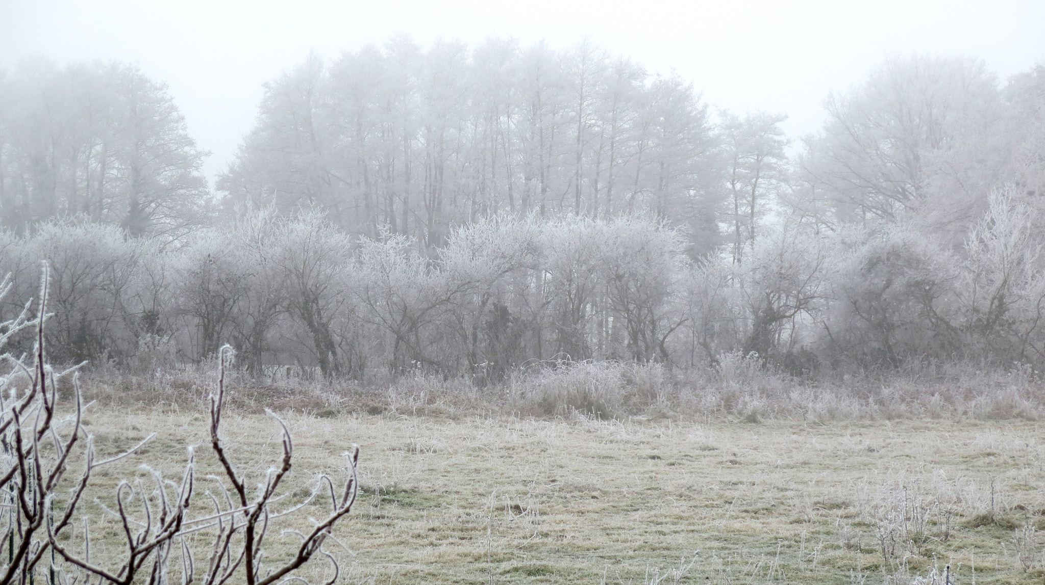 Canon PowerShot ELPH 330 HS (IXUS 255 HS / IXY 610F) sample photo. White winter photography
