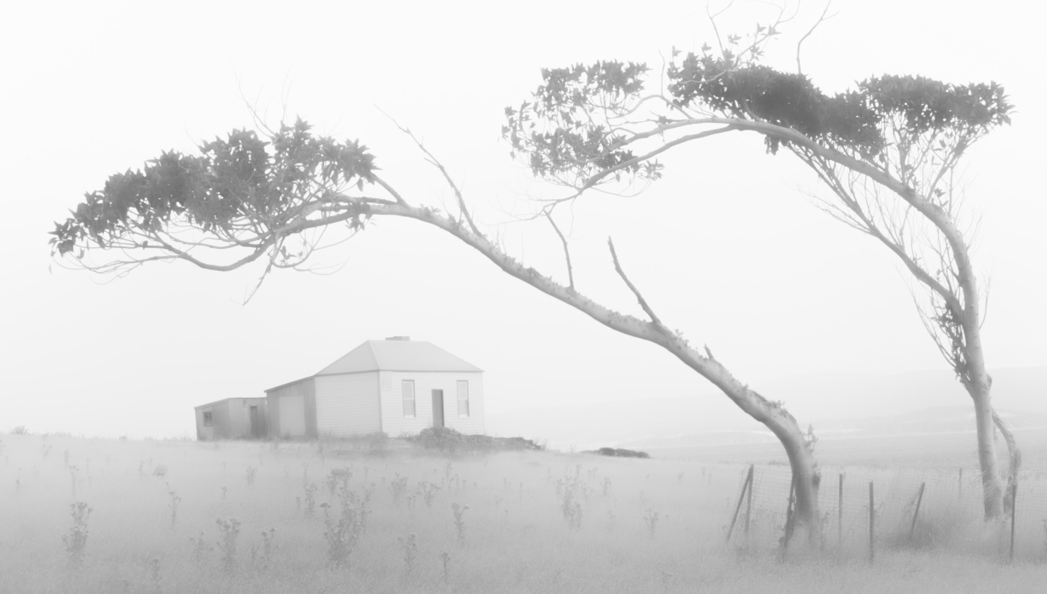 Nikon D300 sample photo. Mariah island, tasmania, australia photography