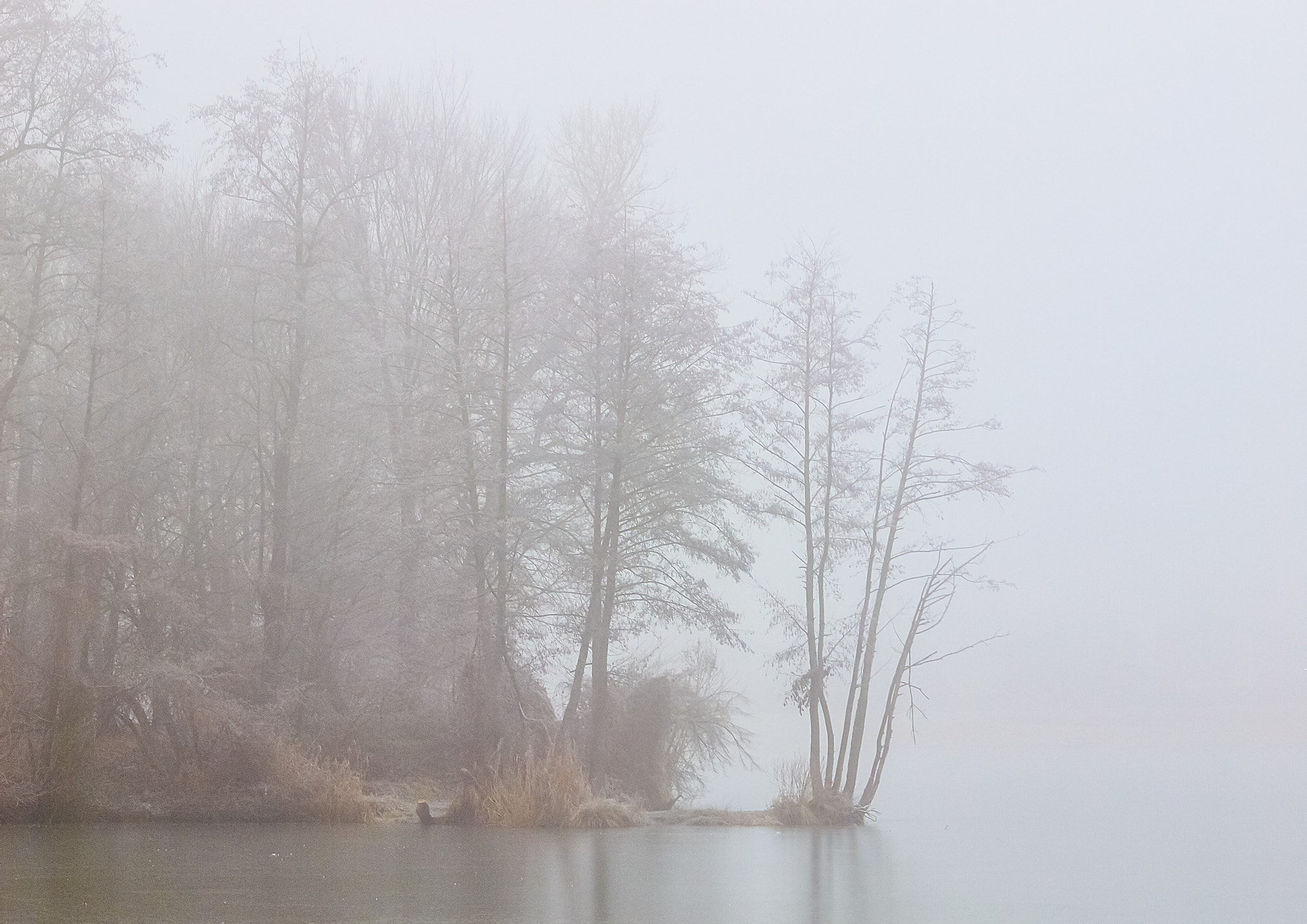 Olympus E-5 sample photo. Fog on the lake photography